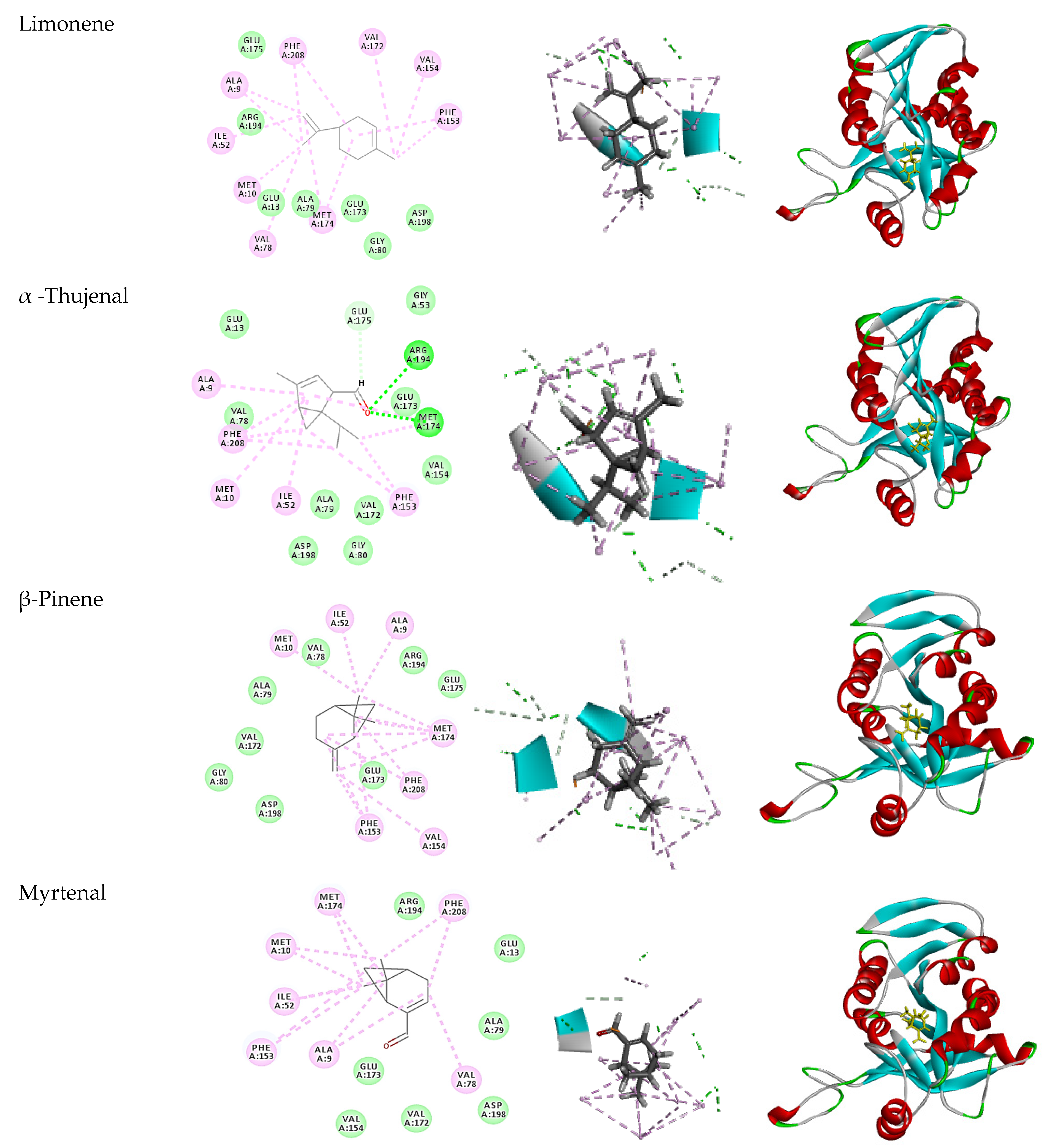 Plants 11 02617 g004c