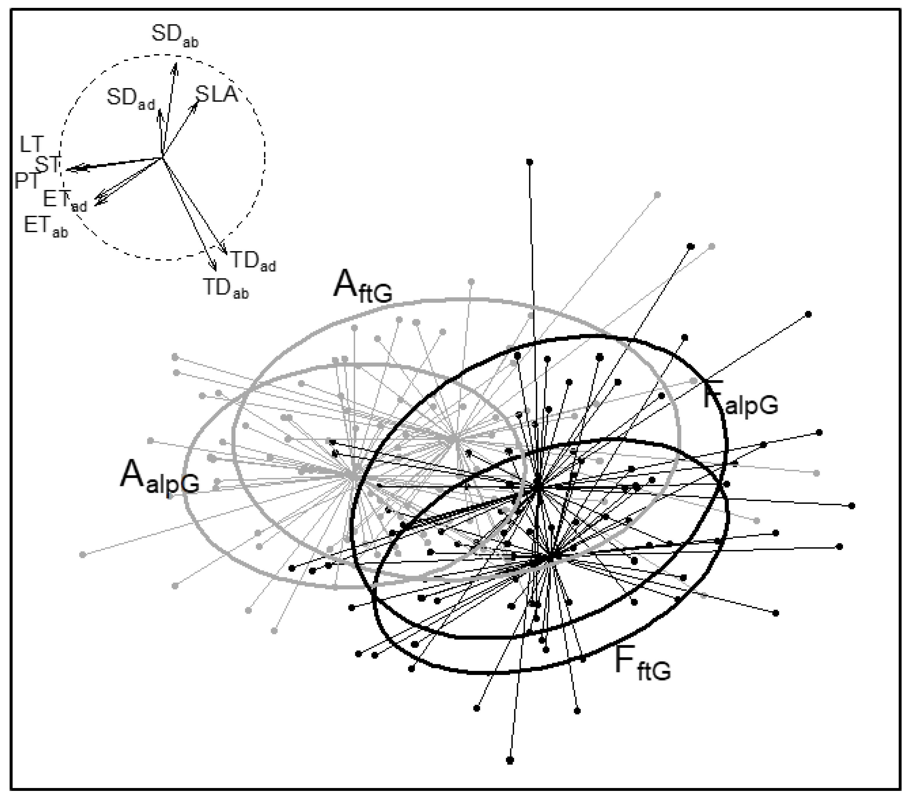 Plants 11 02626 g002