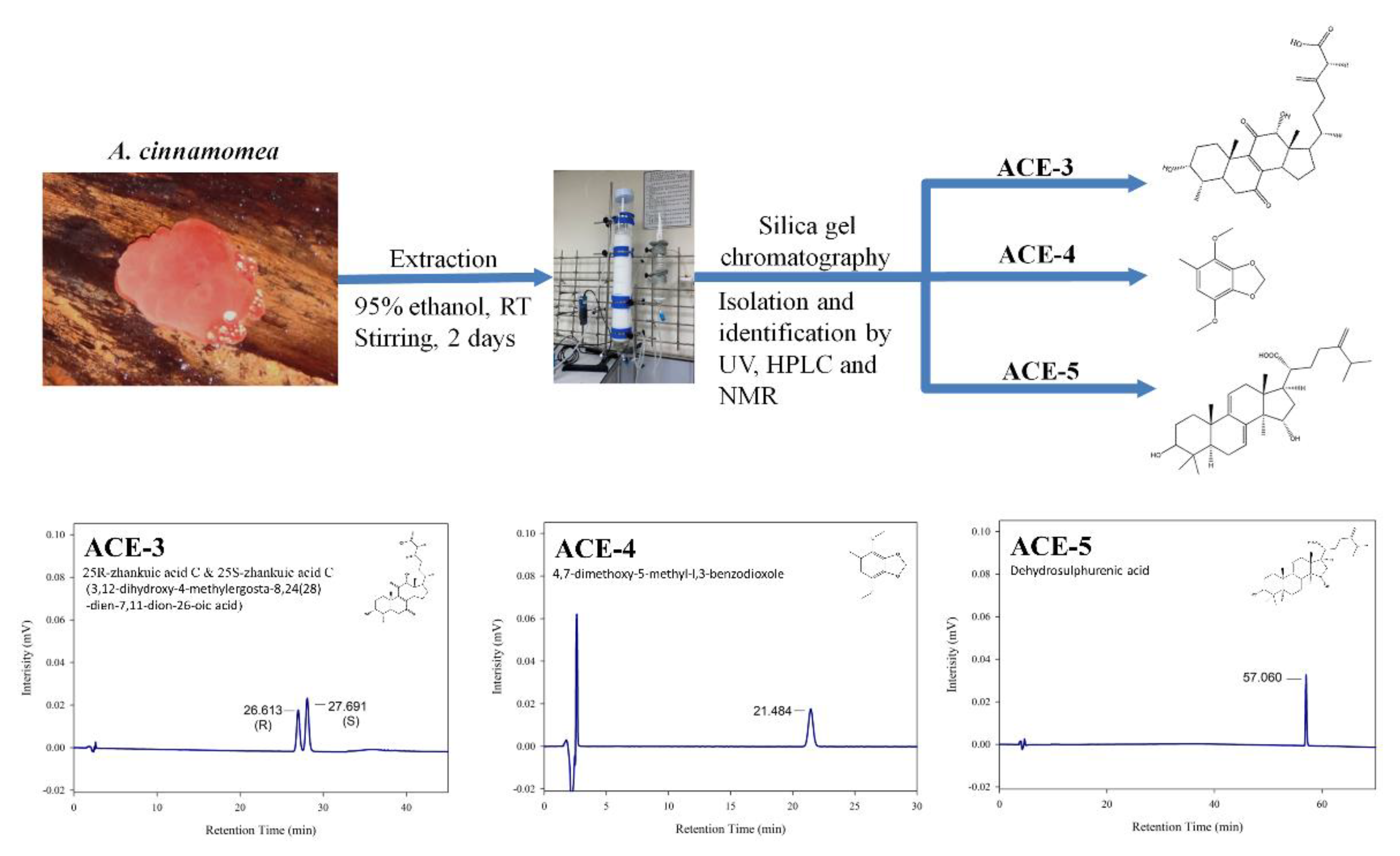Plants 11 02631 g005