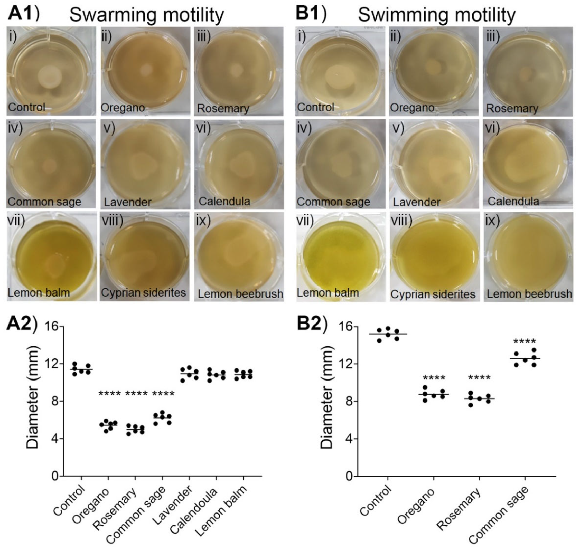 Plants 11 02632 g004