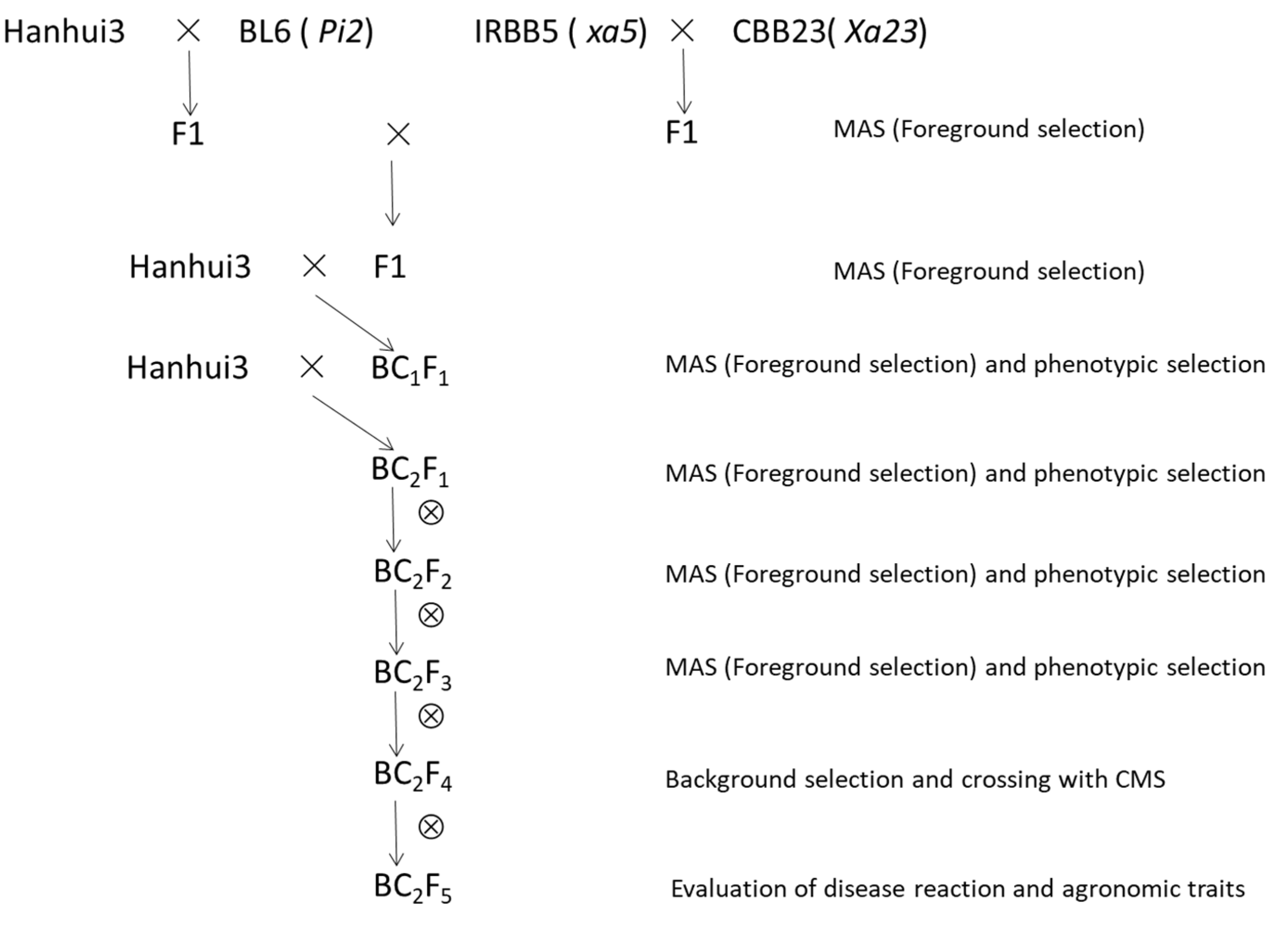Plants 11 02641 g001 Plants 11 02641 g001