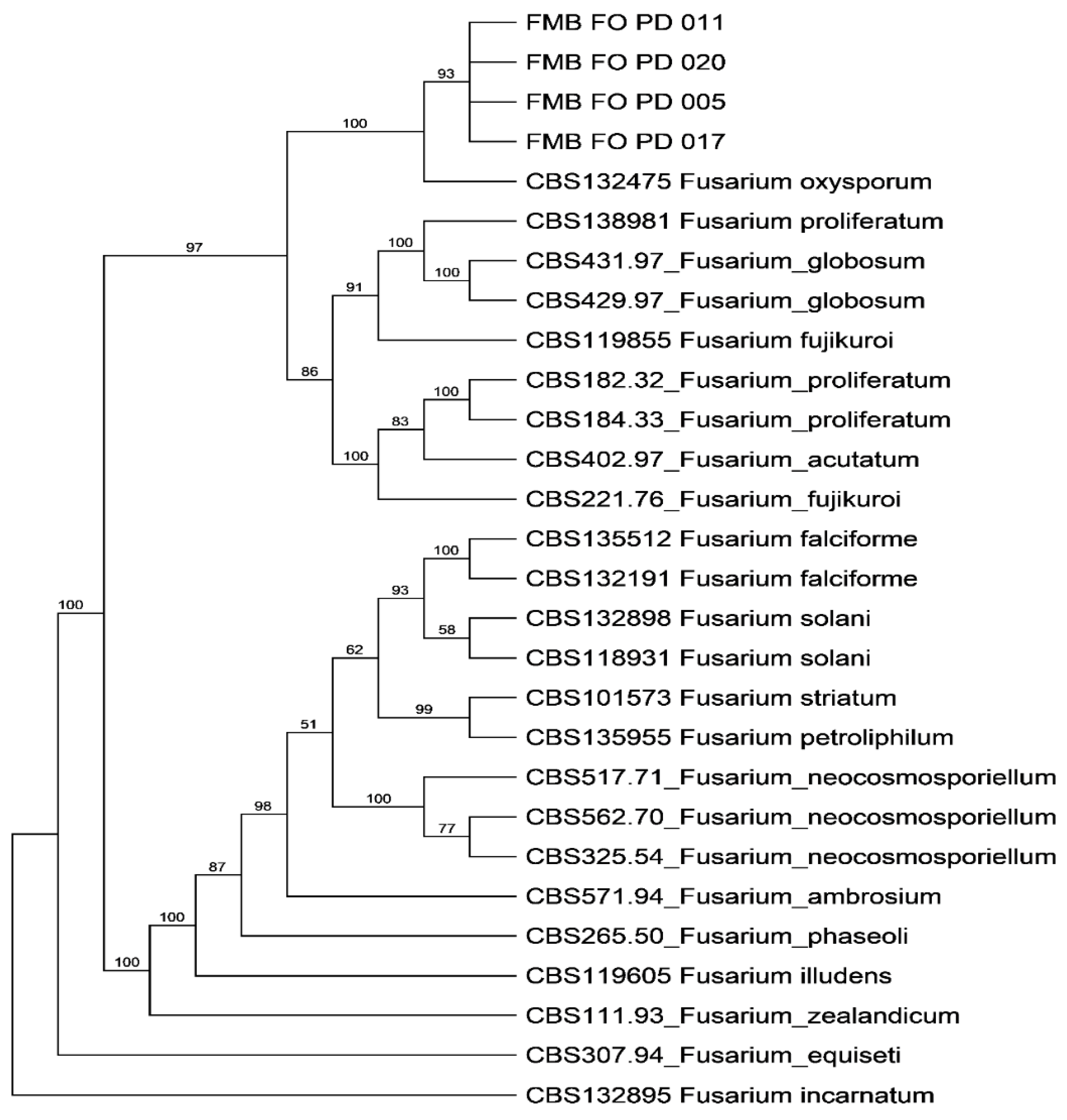 Plants 11 02643 g002