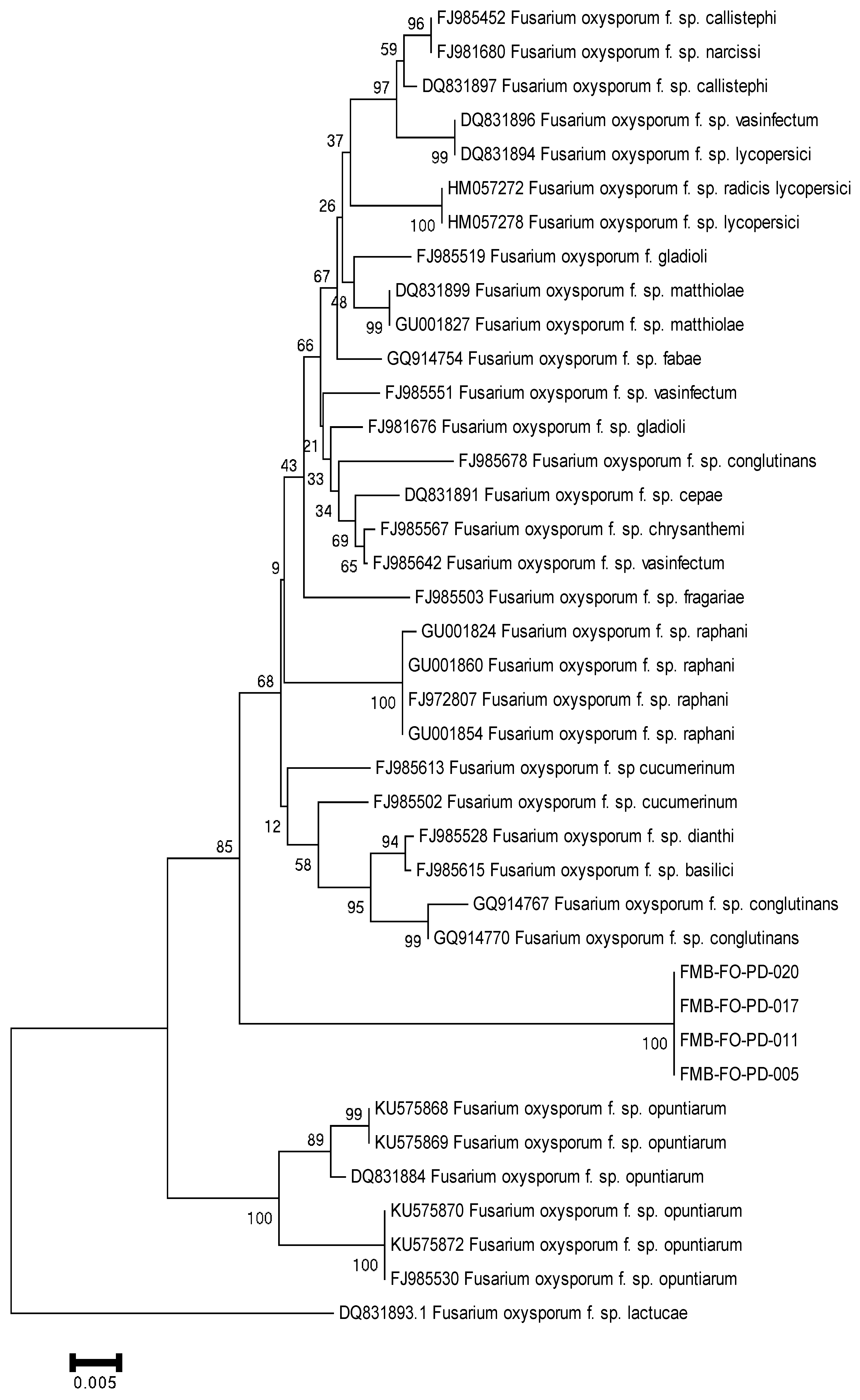 Plants 11 02643 g003