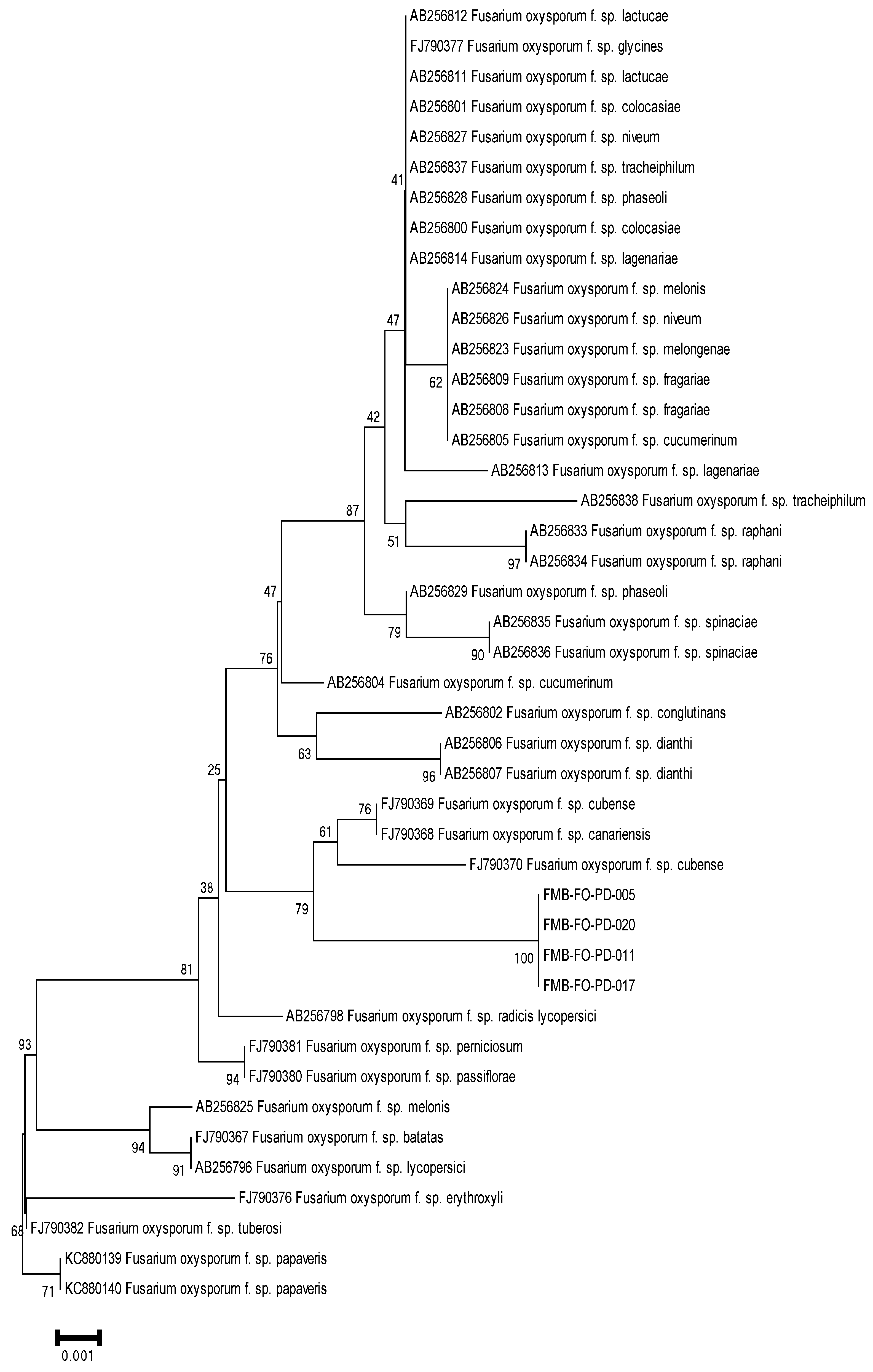 Plants 11 02643 g004