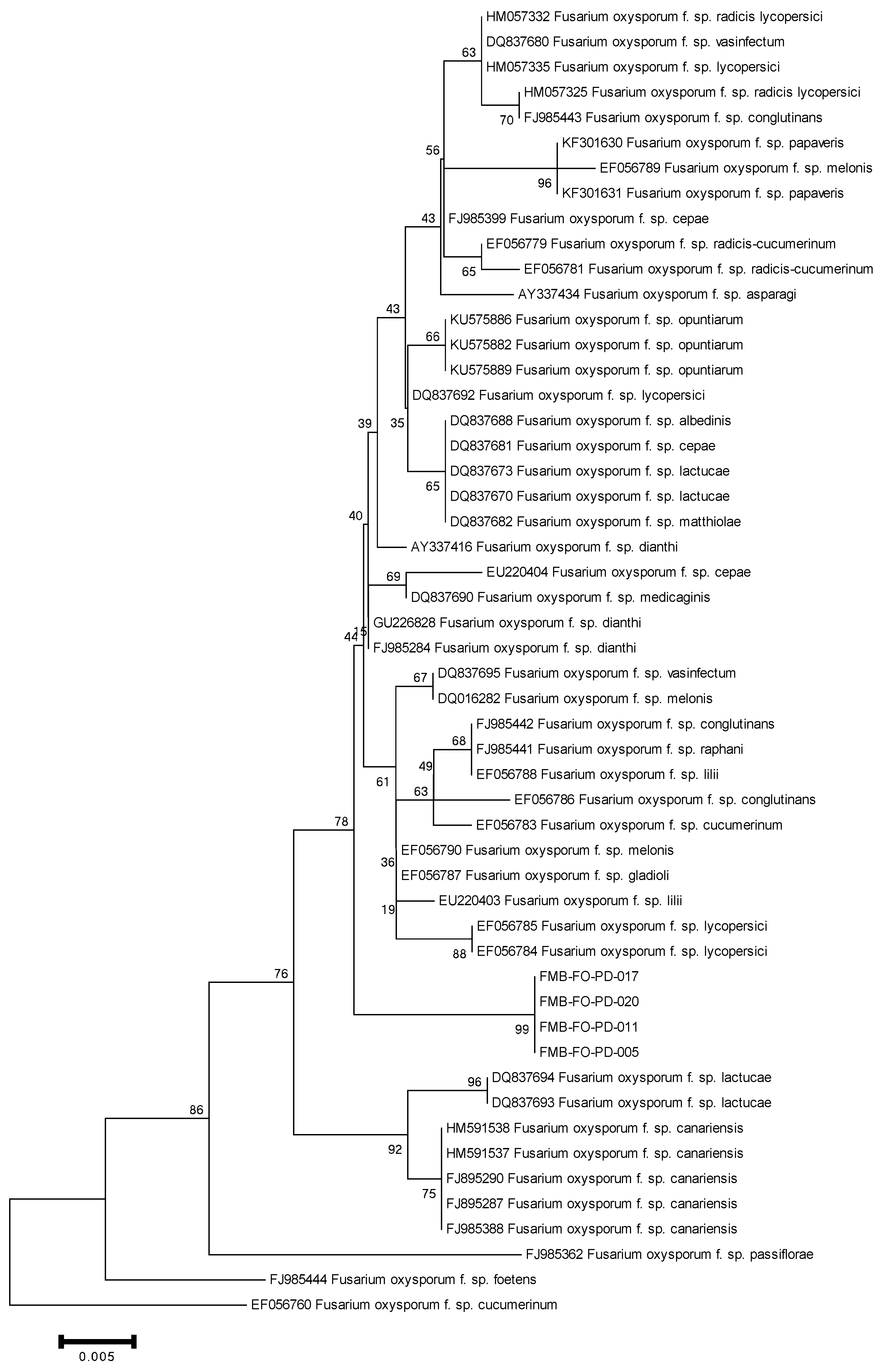 Plants 11 02643 g005
