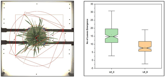 Leaf Count Aided Novel Framework for Rice (Oryza sativa L.) Genotypes ...