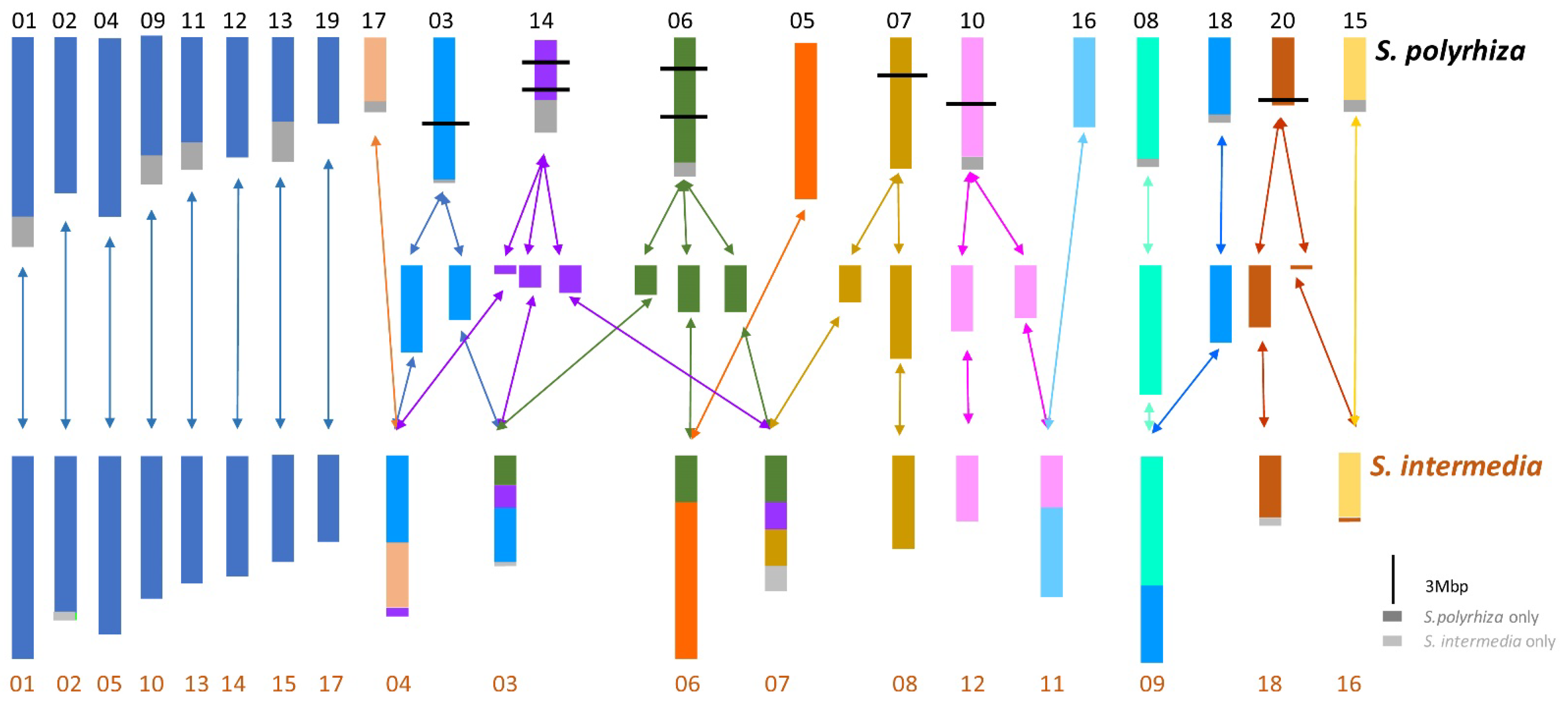 Plants 11 02674 g003