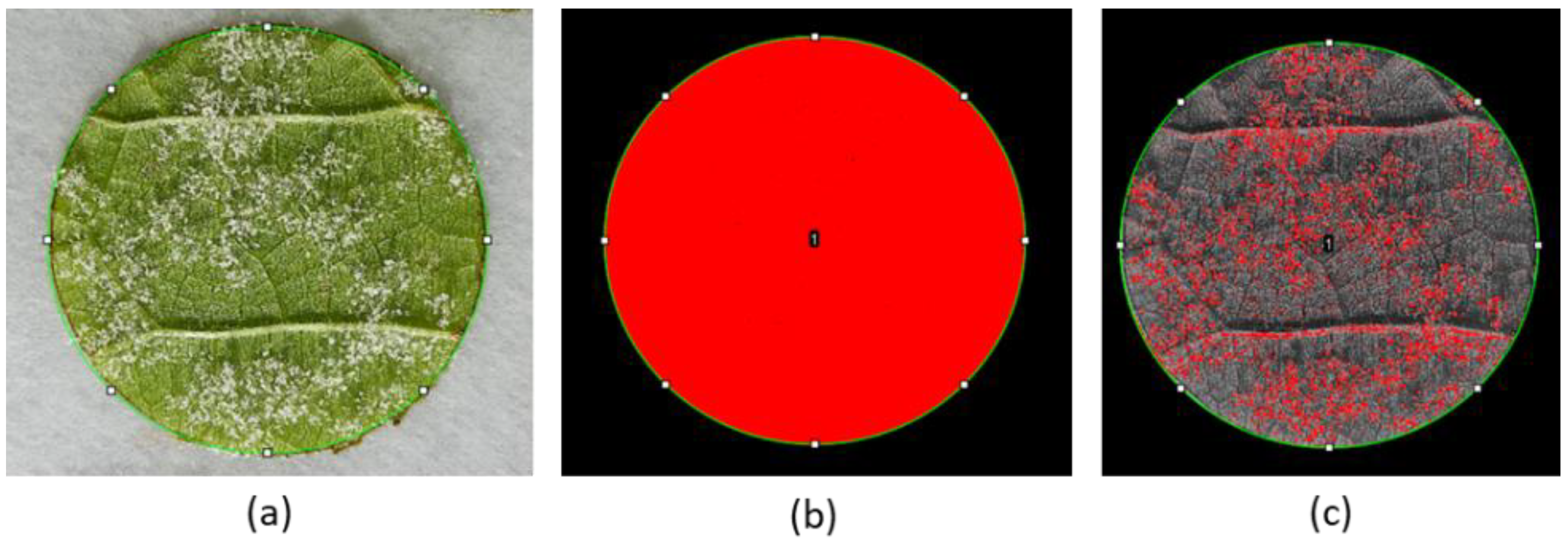 Plants 11 02675 g006