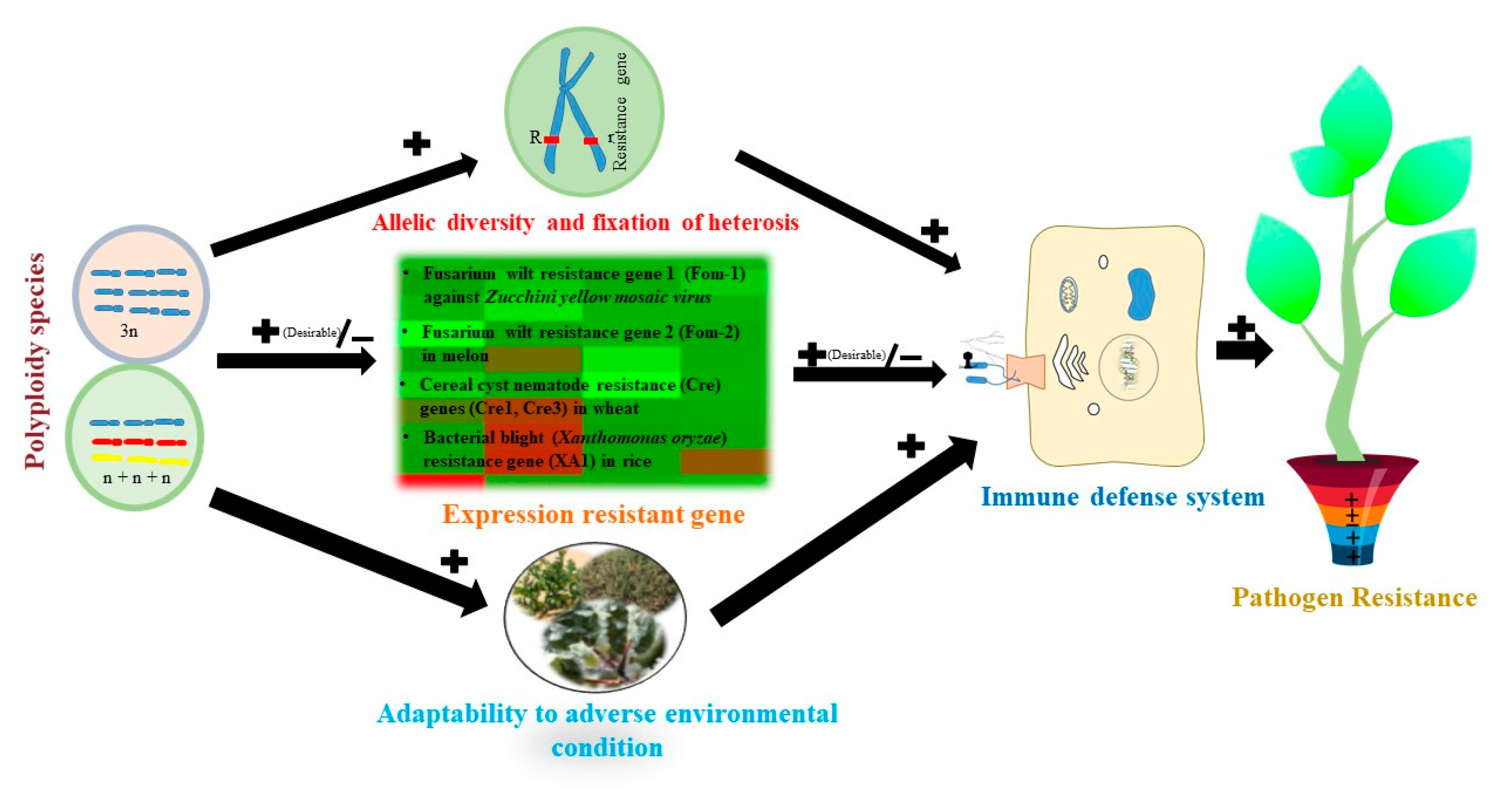 Plants 11 02684 g007 Plants 11 02684 g007