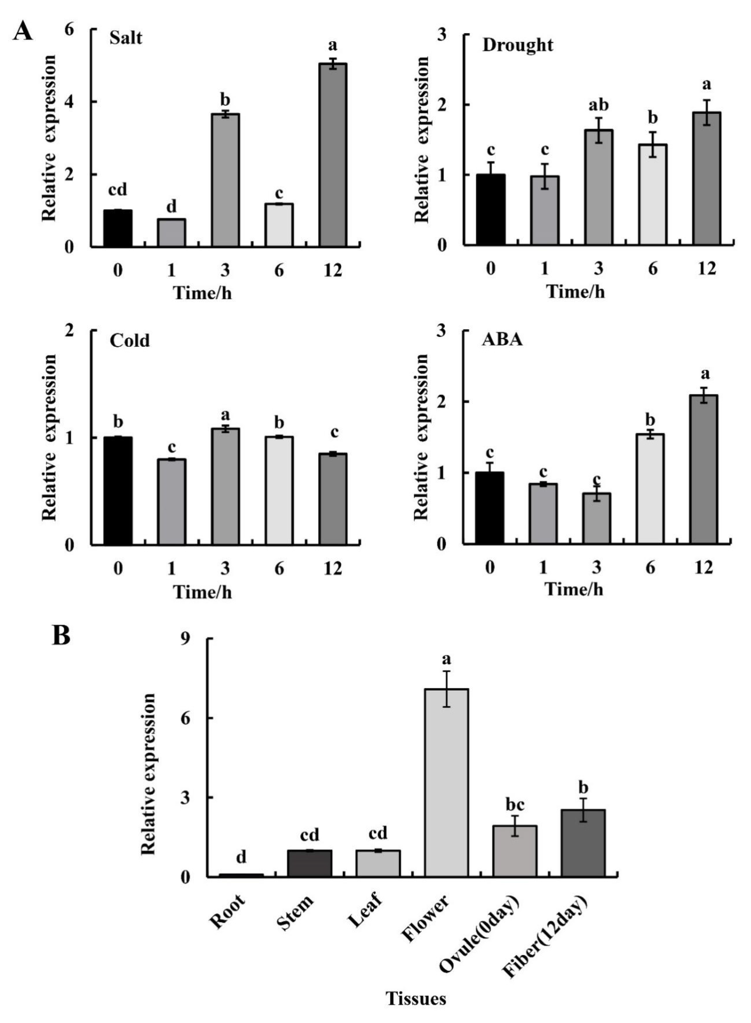 Plants 11 02694 g002 Plants 11 02694 g002