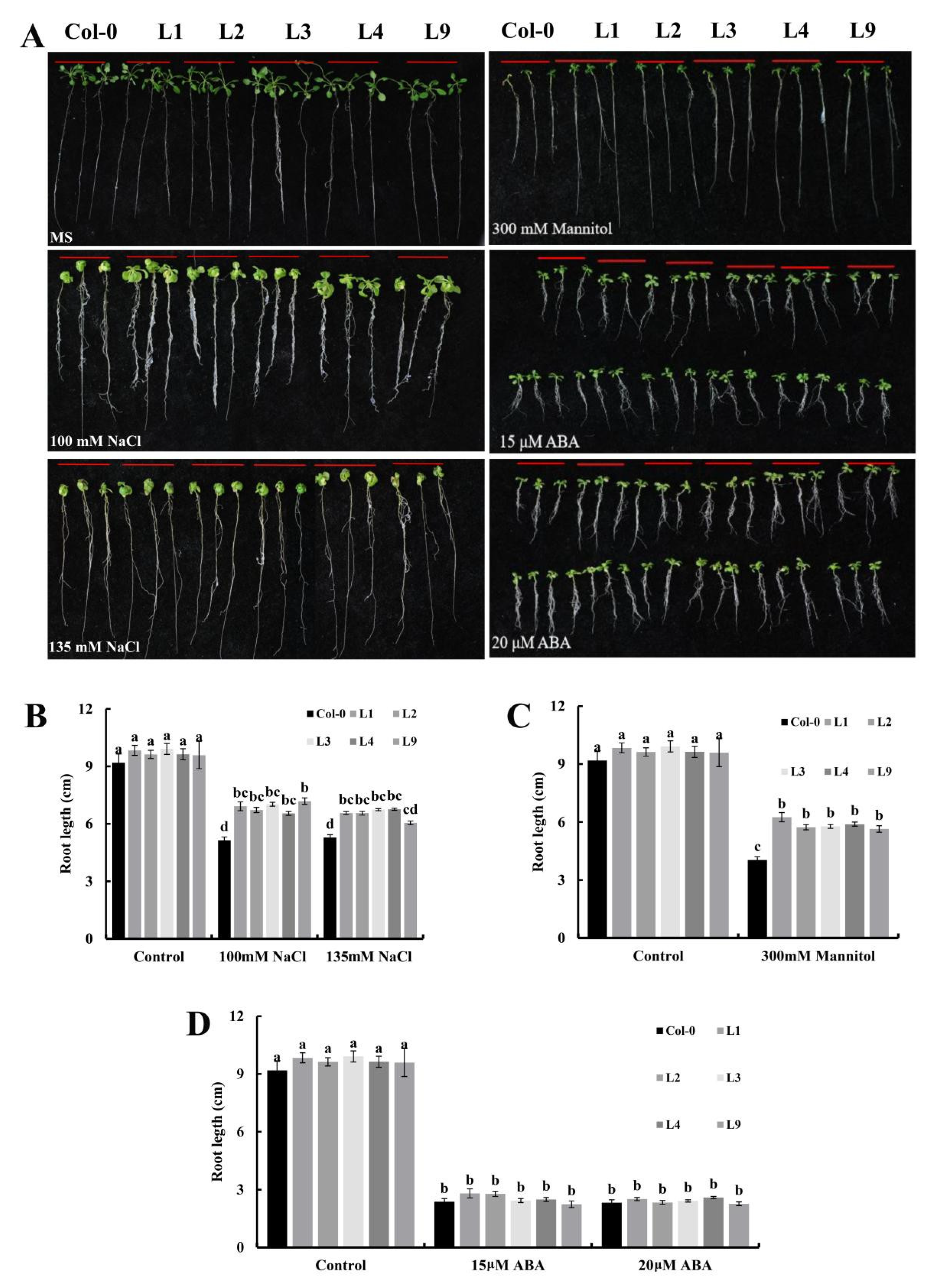 Plants 11 02694 g004 Plants 11 02694 g004