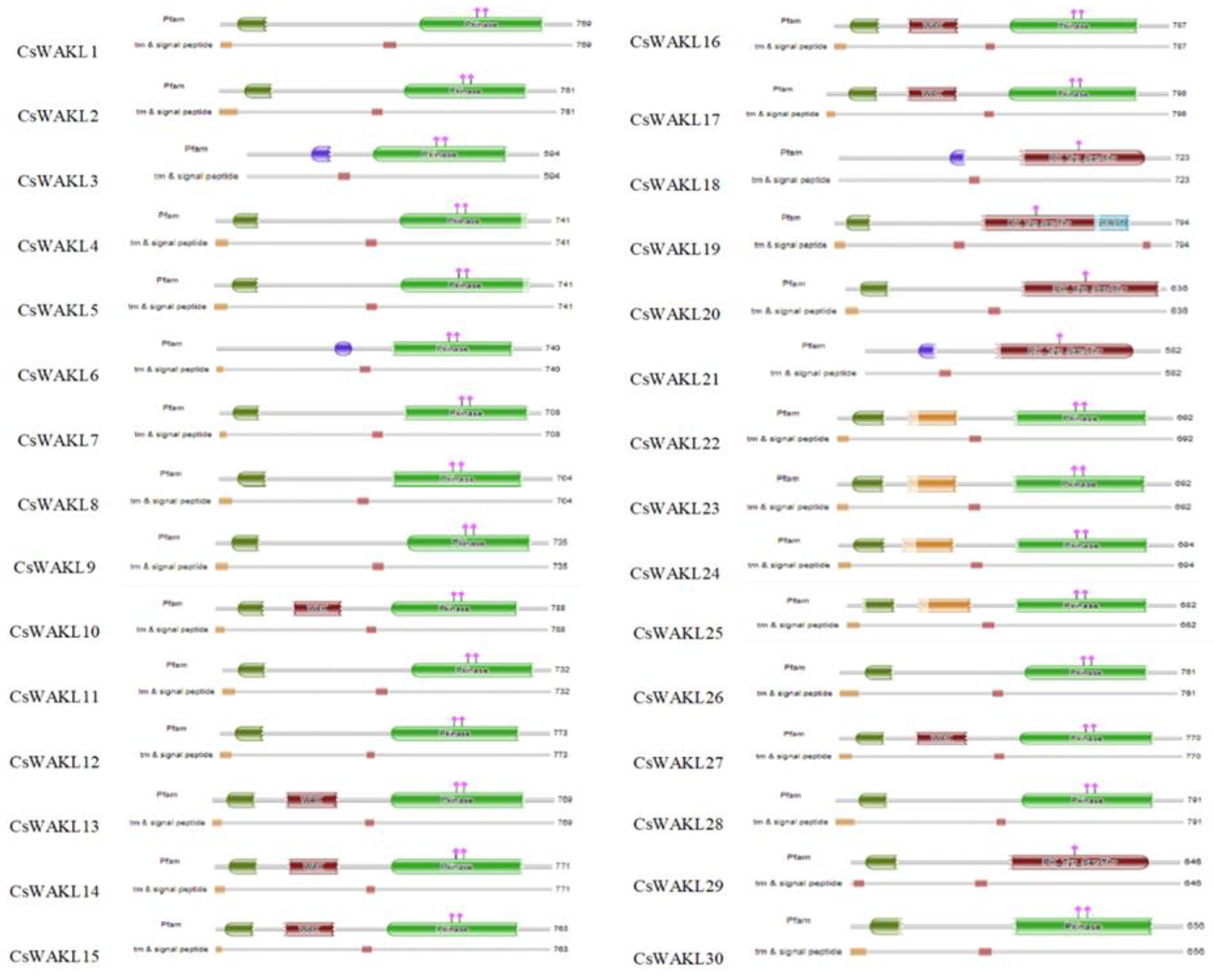 Plants 11 02703 g001b Plants 11 02703 g001b