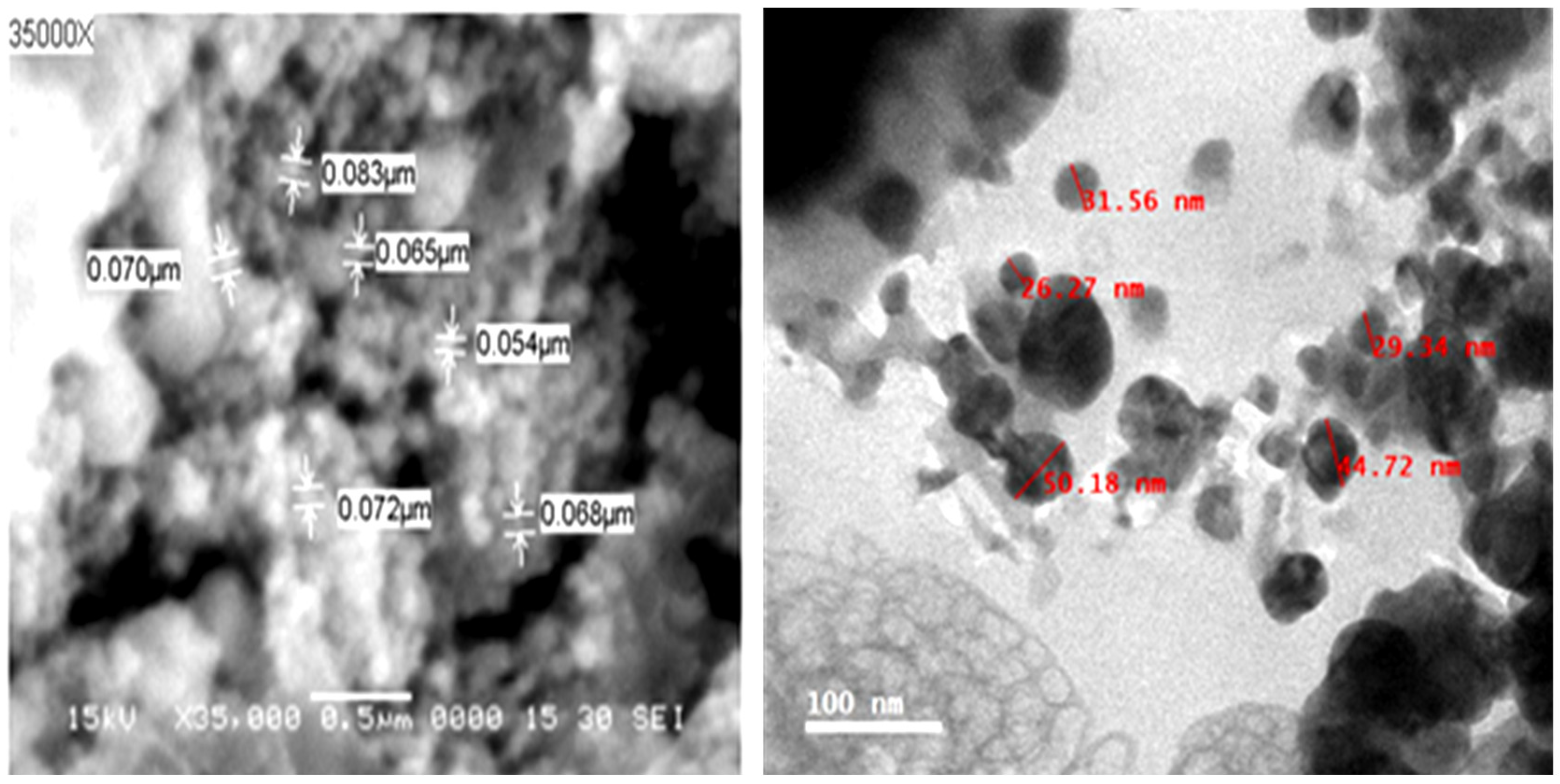 Plants 11 02707 g001