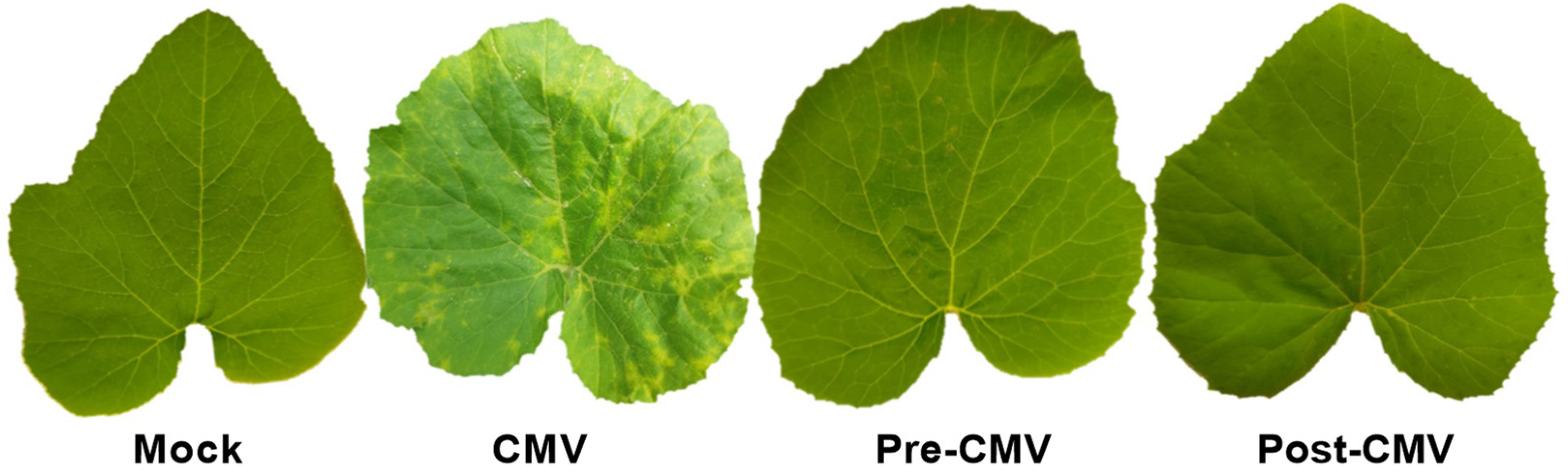 Plants 11 02707 g005