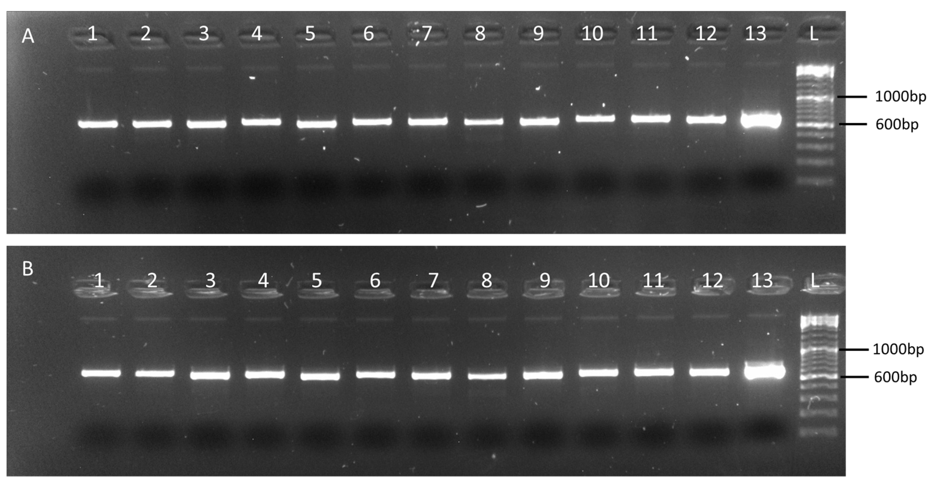 Plants 11 02716 g001 Plants 11 02716 g001