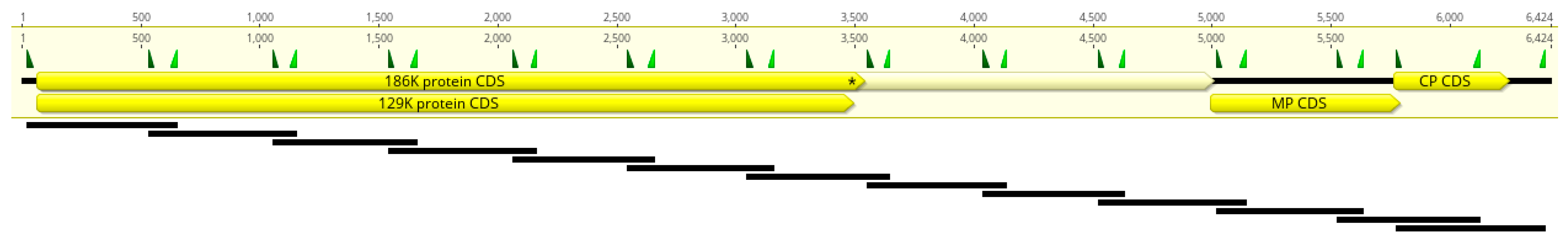 Plants 11 02716 g006 Plants 11 02716 g006