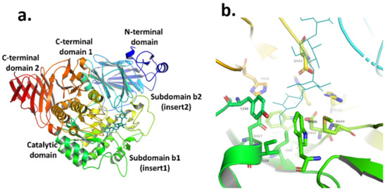Recent Updates on Phytoconstituent Alpha-Glucosidase