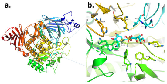 アップル Recent Updates on Phytoconstituent Alpha-Glucosidase