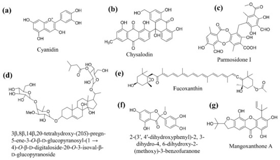 爆買い 英語 Recent Updates on Phytoconstituent Alpha-Glucosidase サーフィン・ボディボード