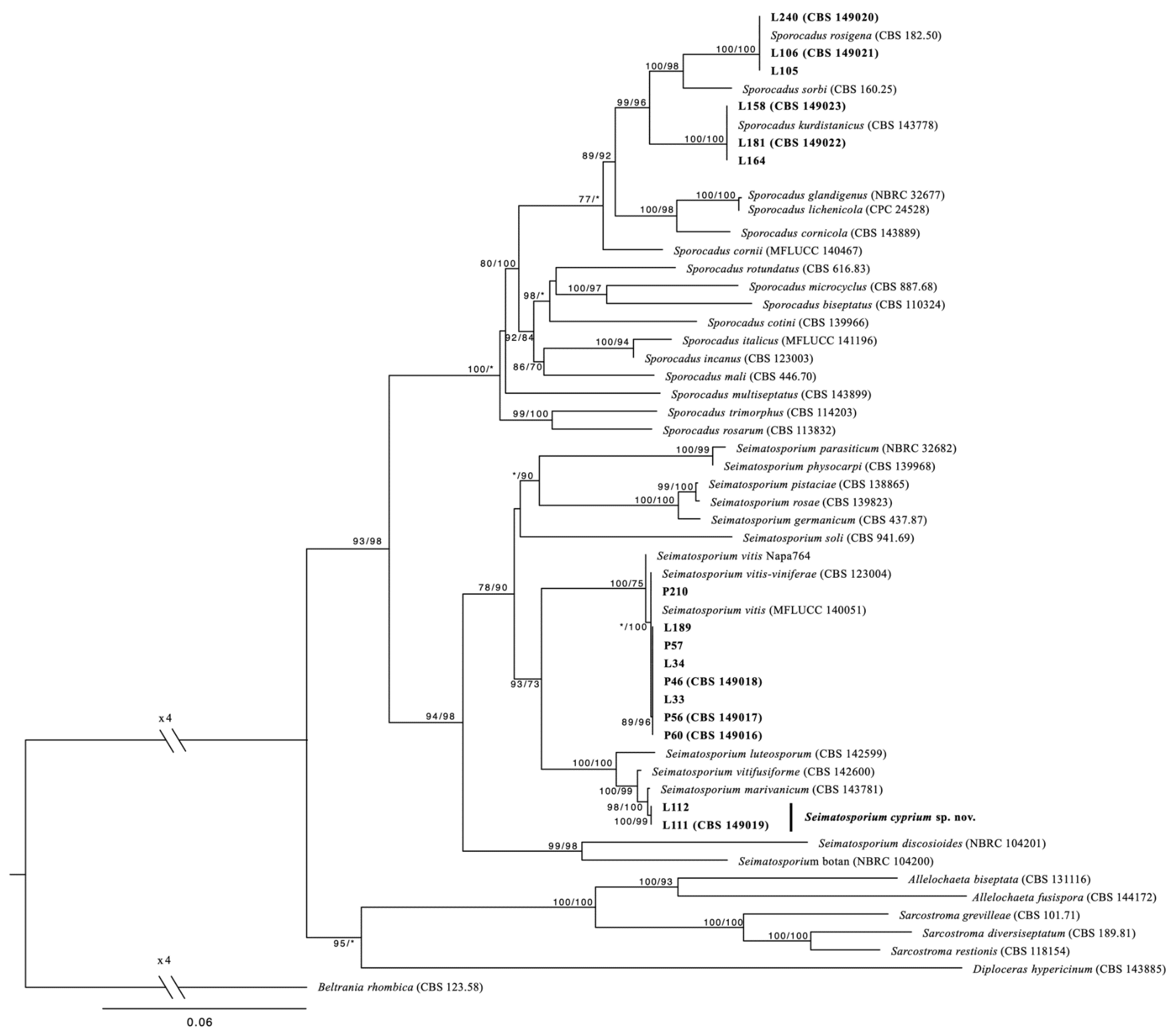 Plants 11 02733 g001 Plants 11 02733 g001