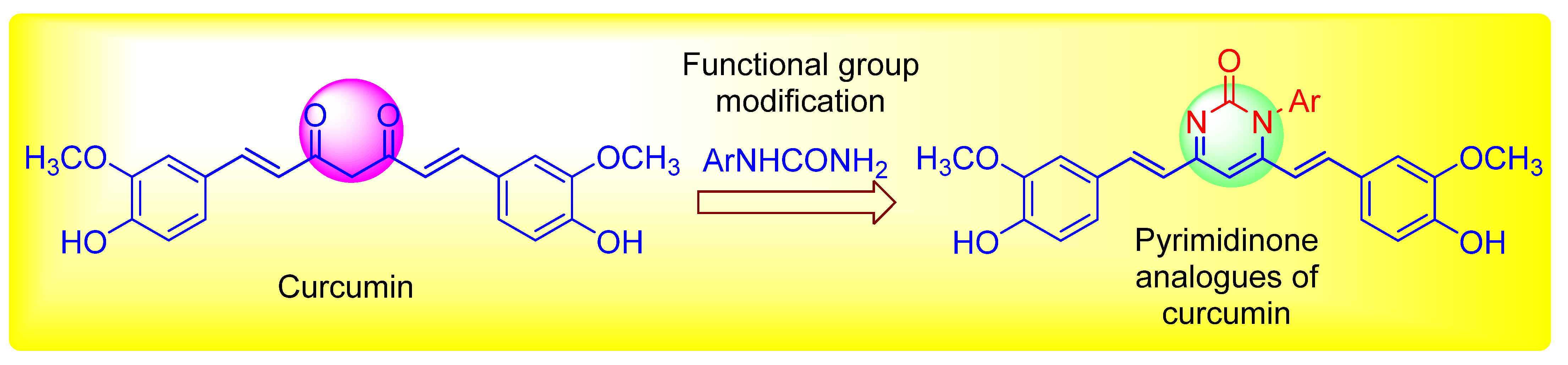 Plants 11 02737 g002