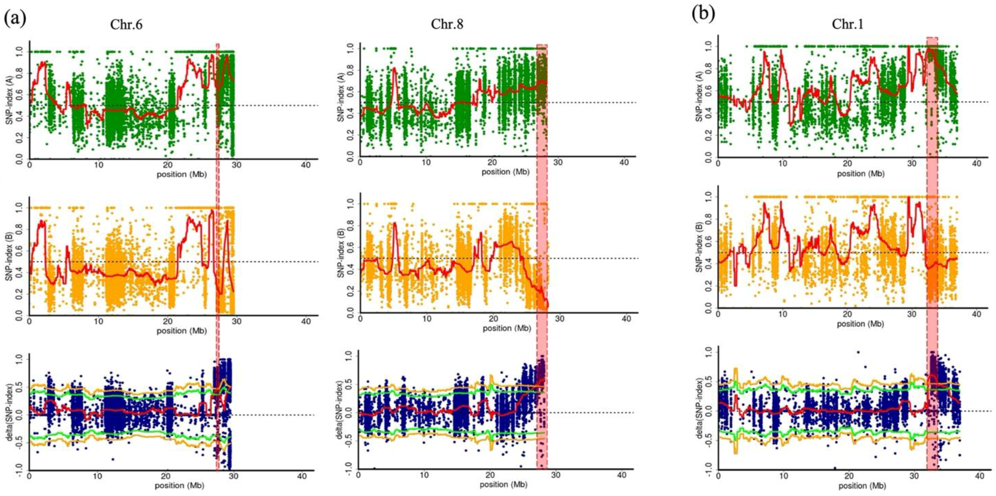 Plants 11 02739 g002 Plants 11 02739 g002