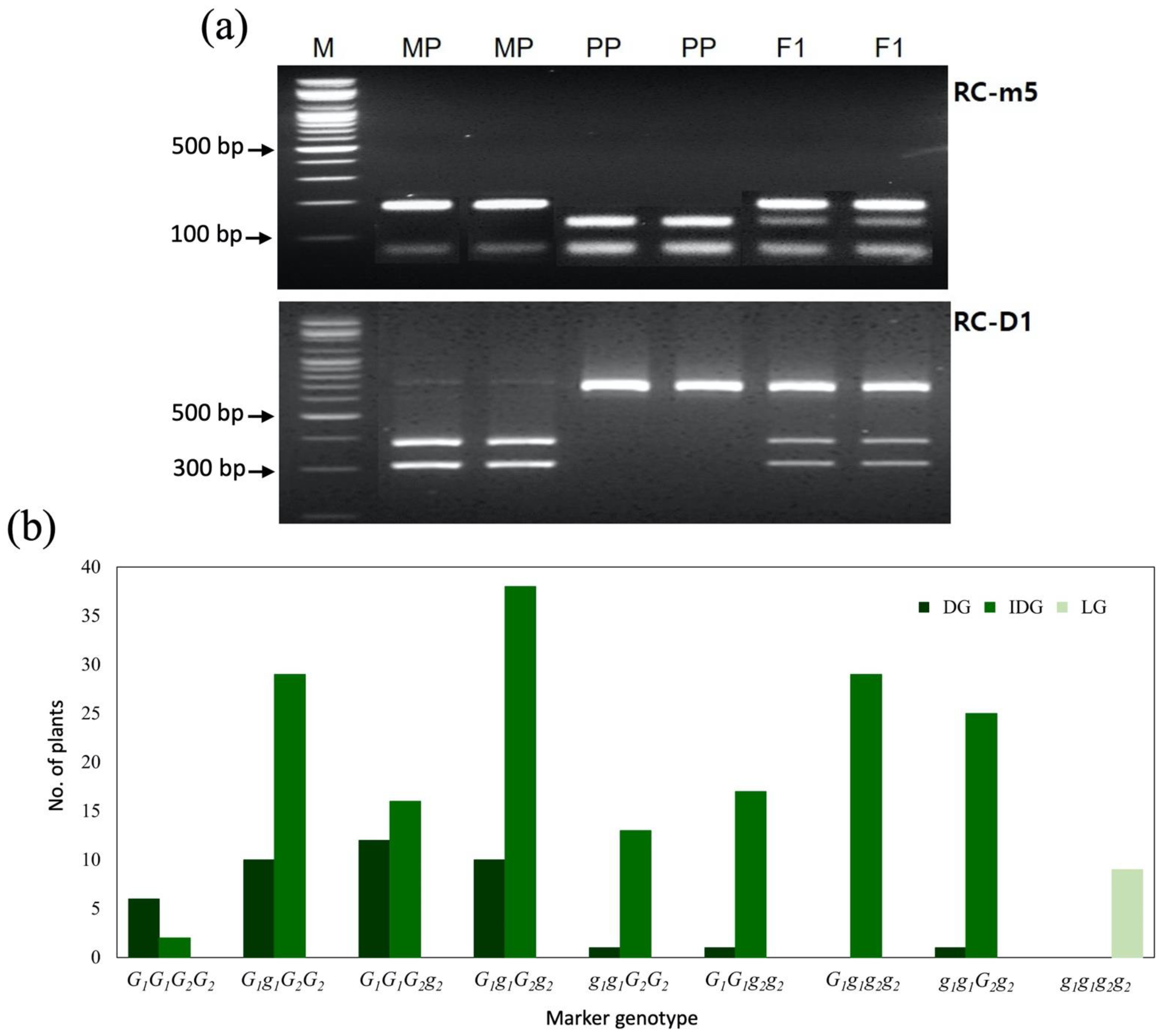 Plants 11 02739 g003 Plants 11 02739 g003