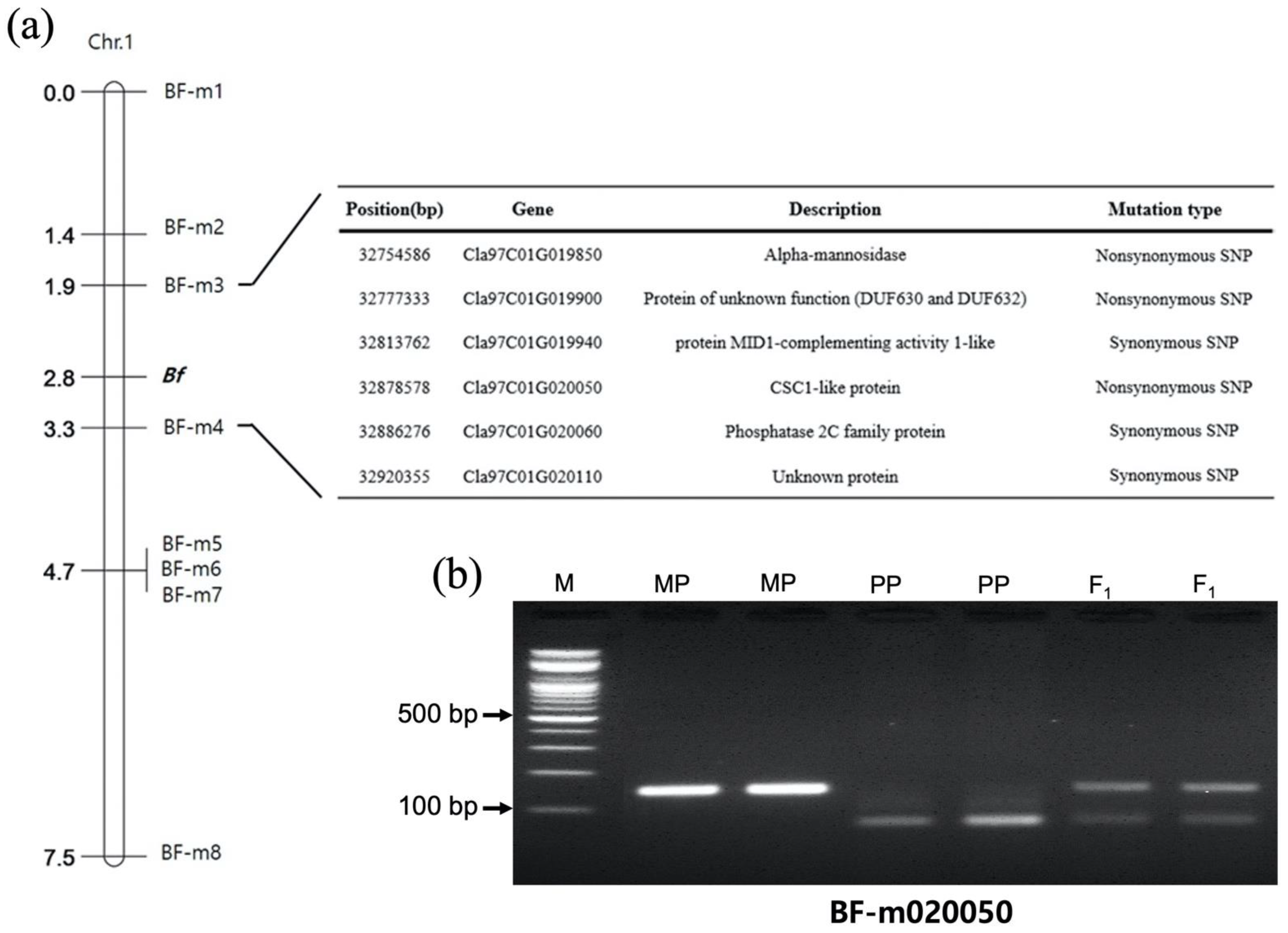 Plants 11 02739 g004 Plants 11 02739 g004