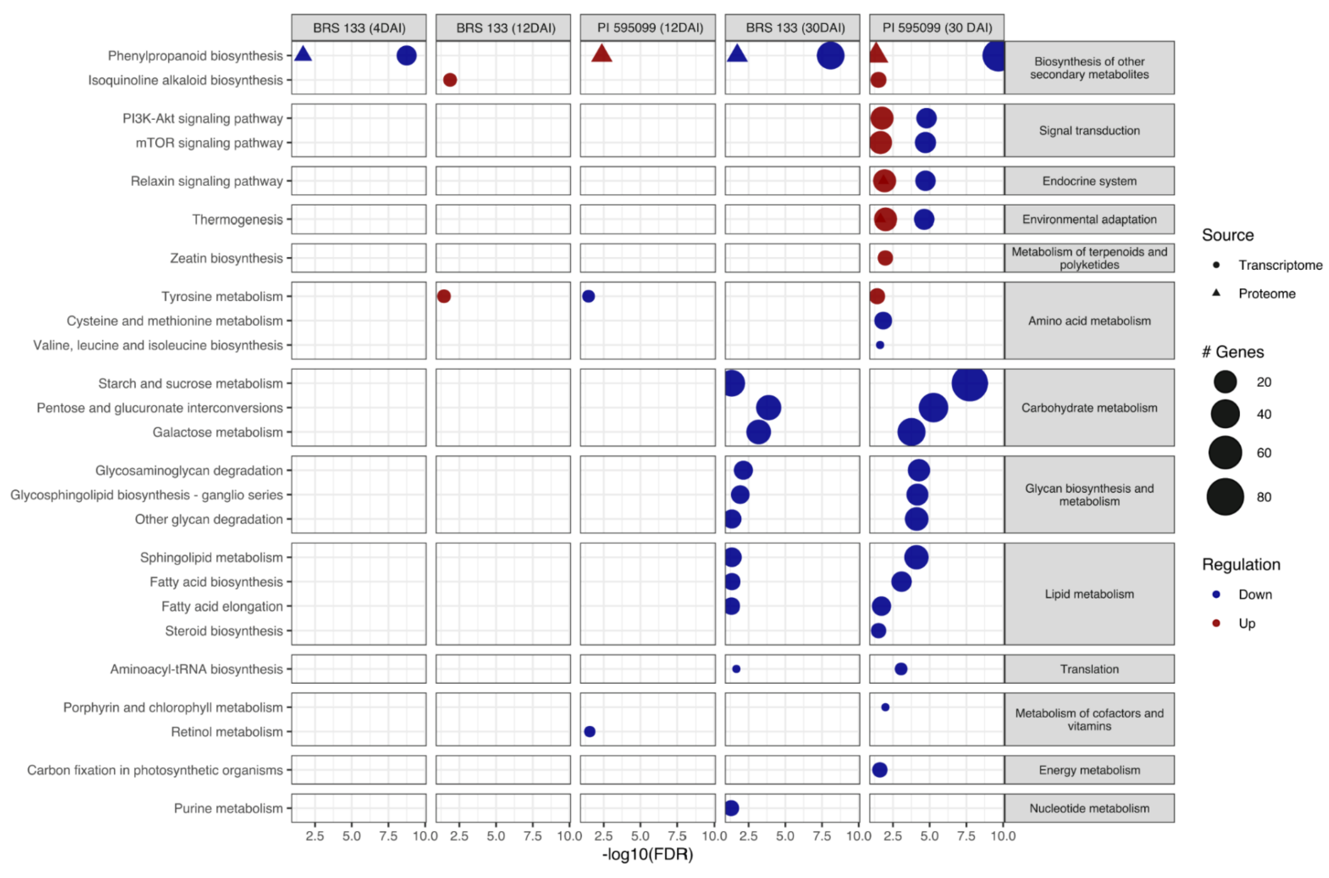Plants 11 02744 g003 Plants 11 02744 g003