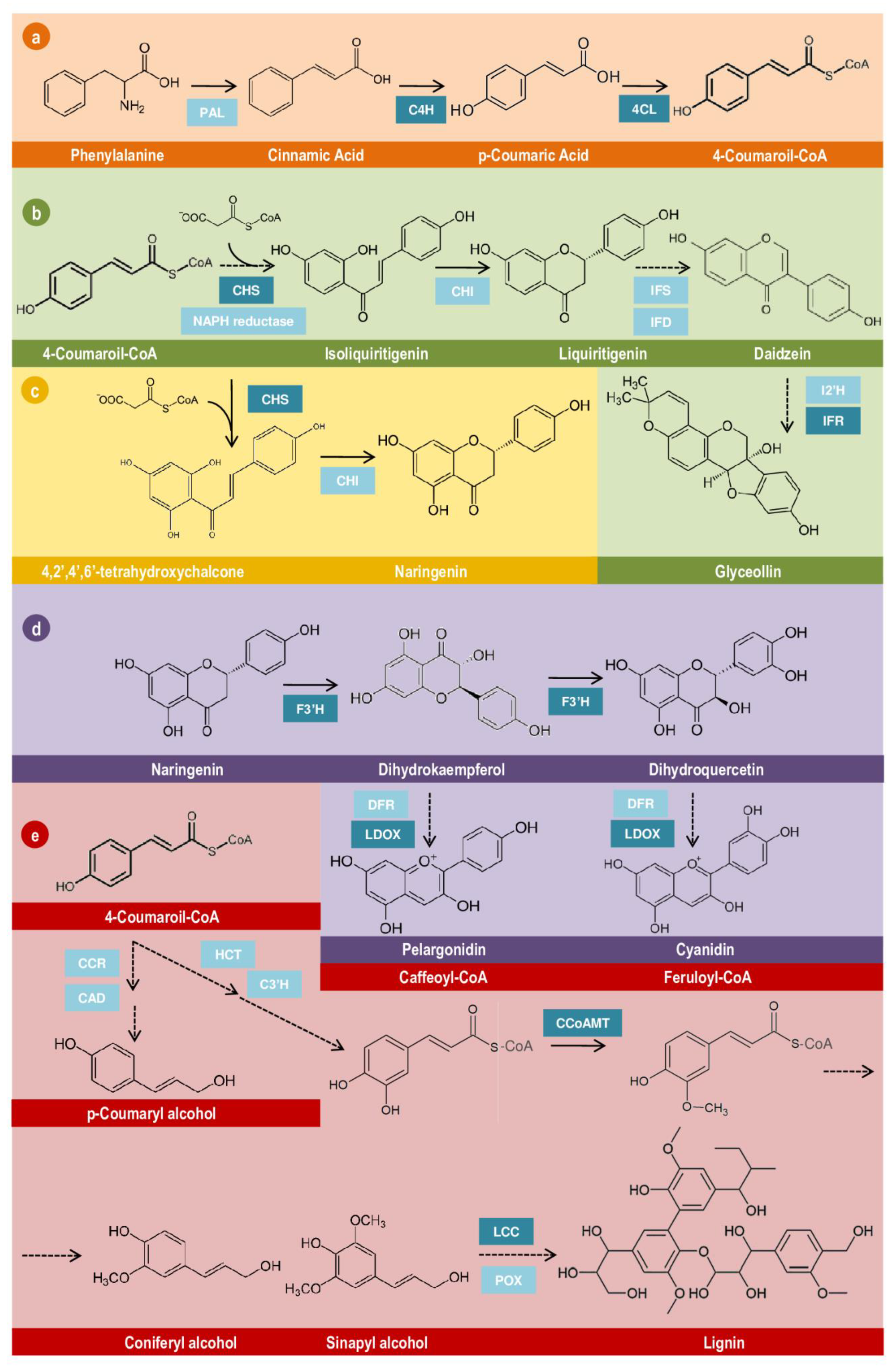 Plants 11 02744 g004 Plants 11 02744 g004