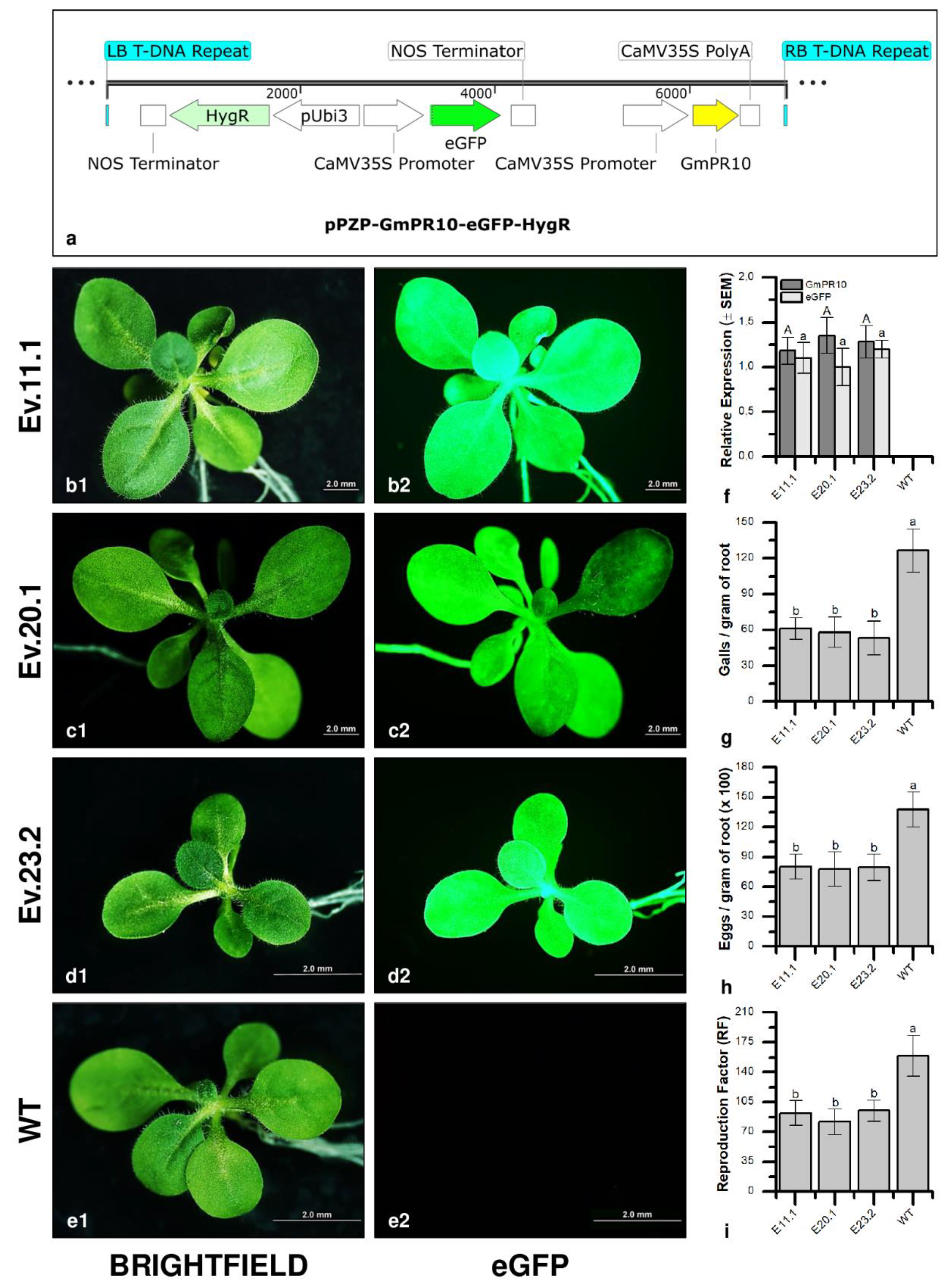Plants 11 02744 g007 Plants 11 02744 g007