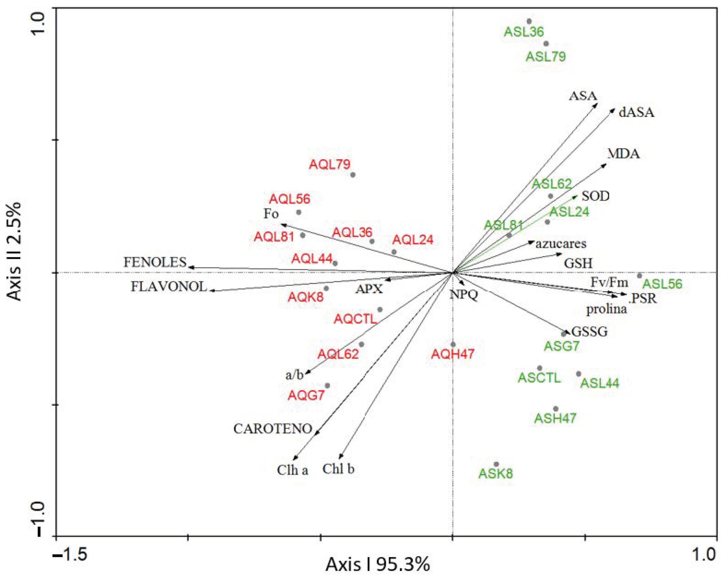 Modulation of Photosynthesis and ROS Scavenging Response by