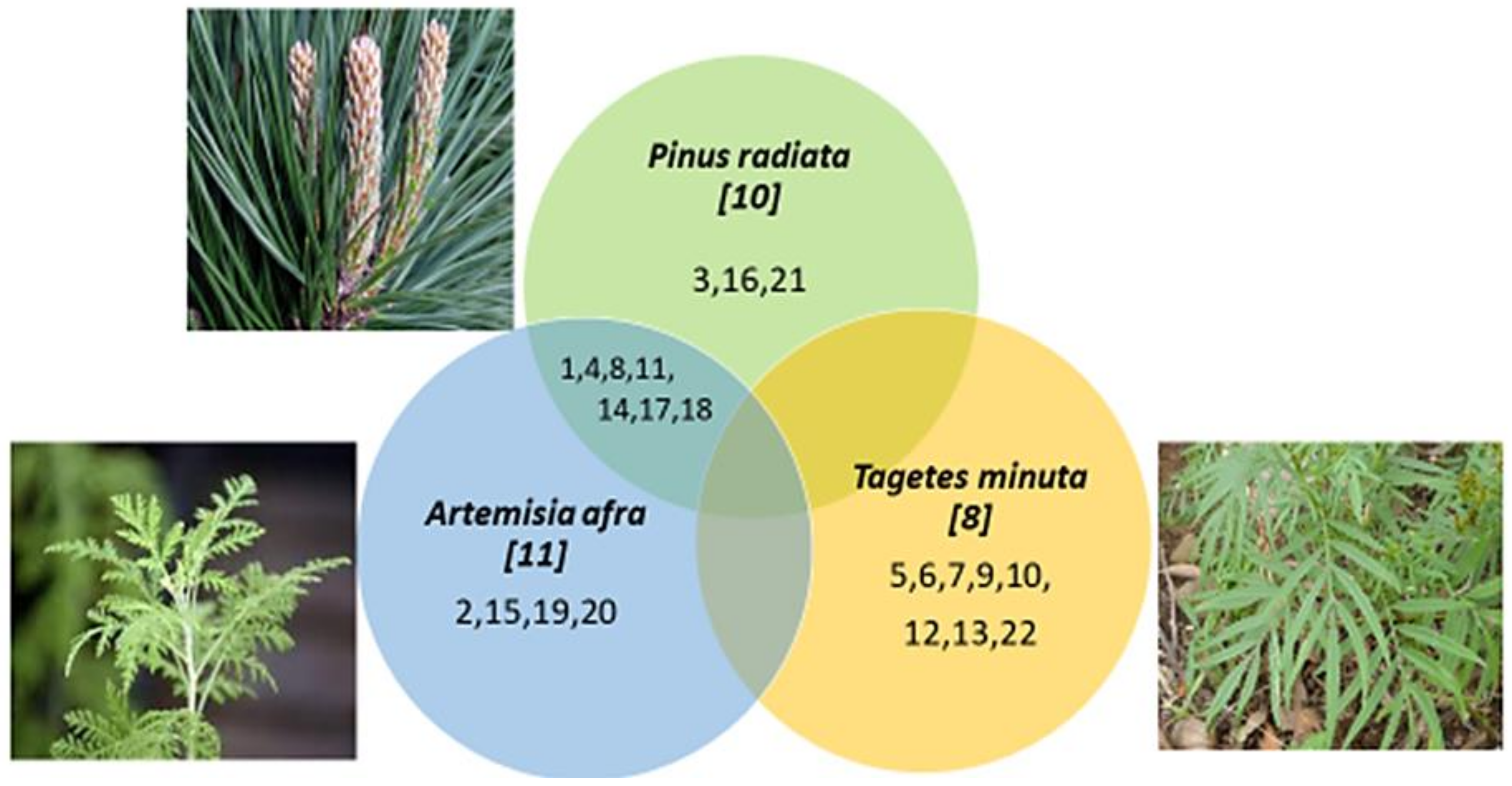 Plants 11 02749 g008 Plants 11 02749 g008