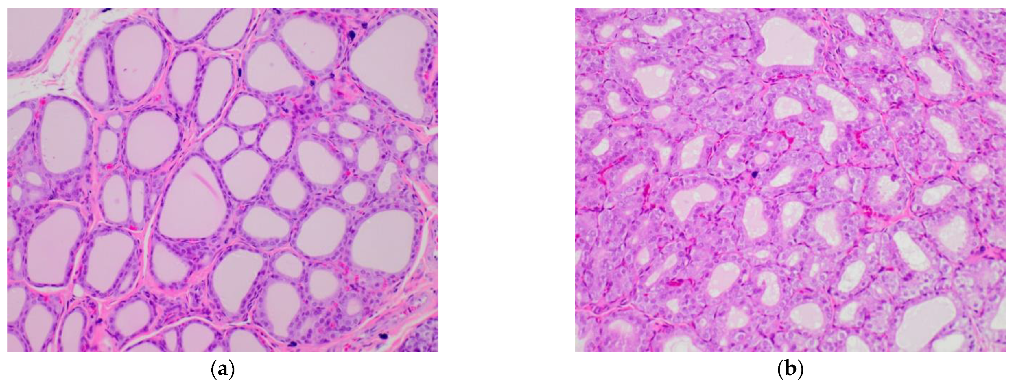 Plants 11 02750 g005a