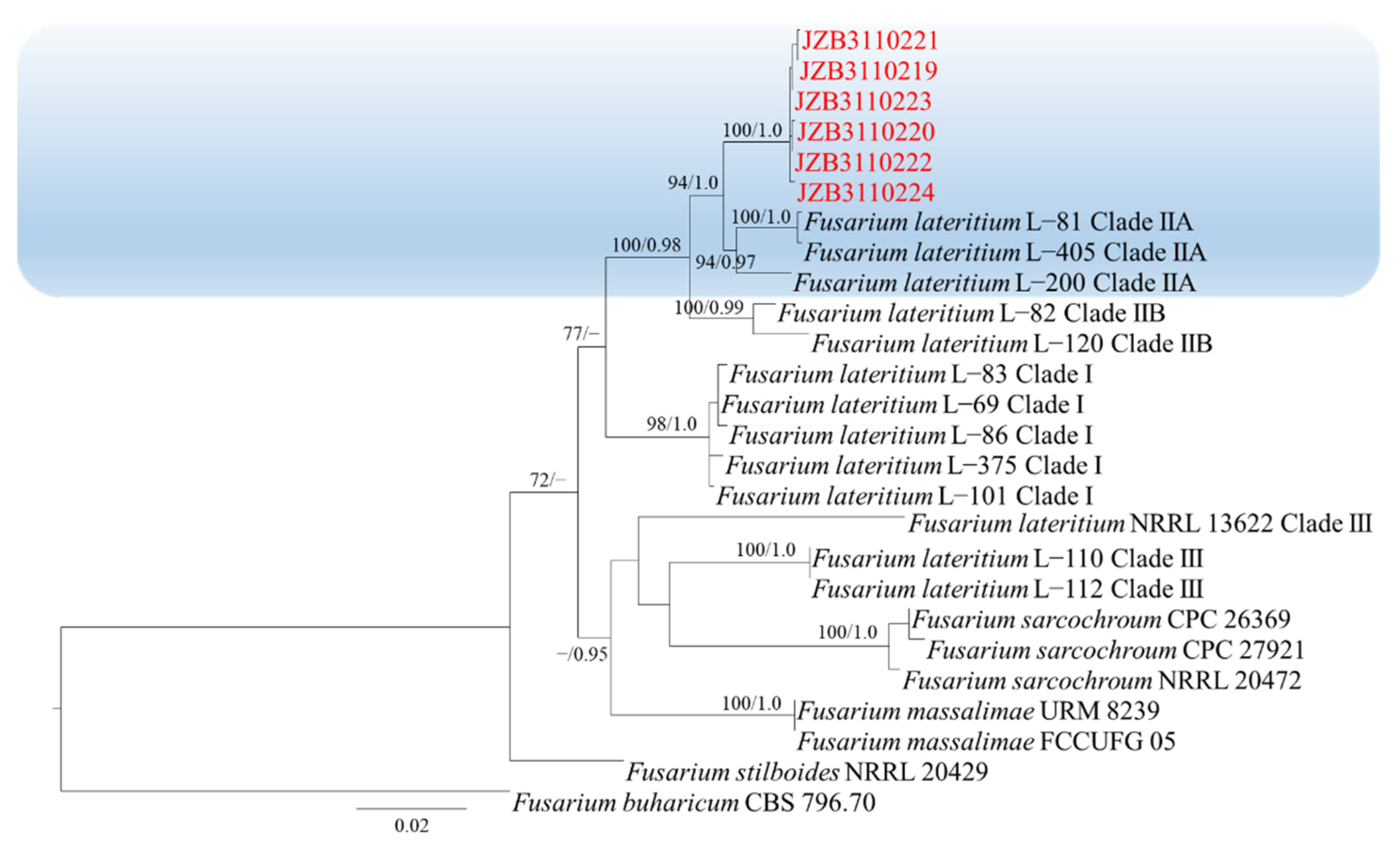 Plants 11 02760 g003 Plants 11 02760 g003