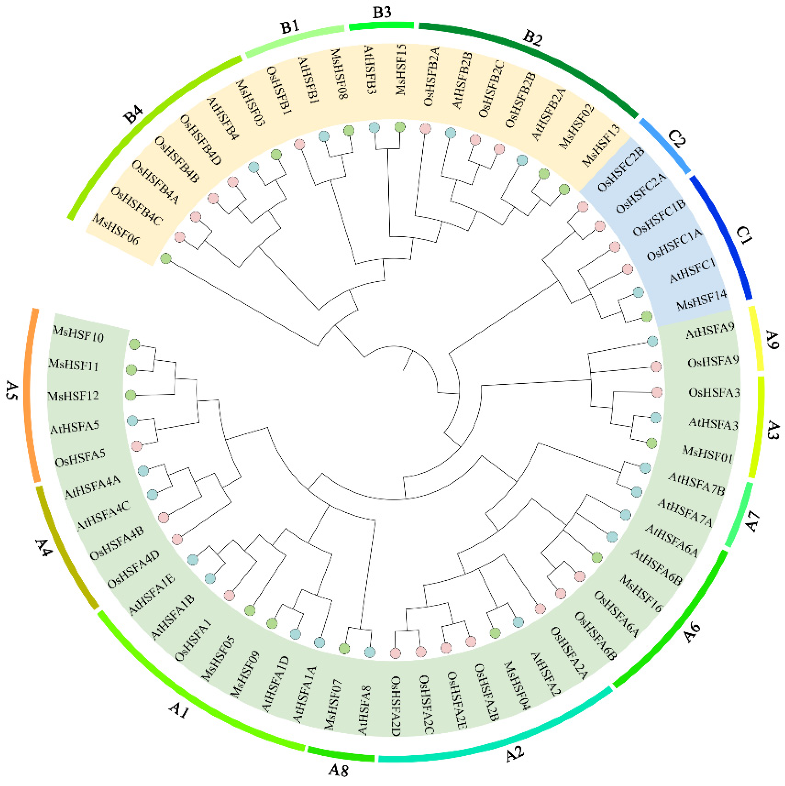 Plants 11 02763 g001