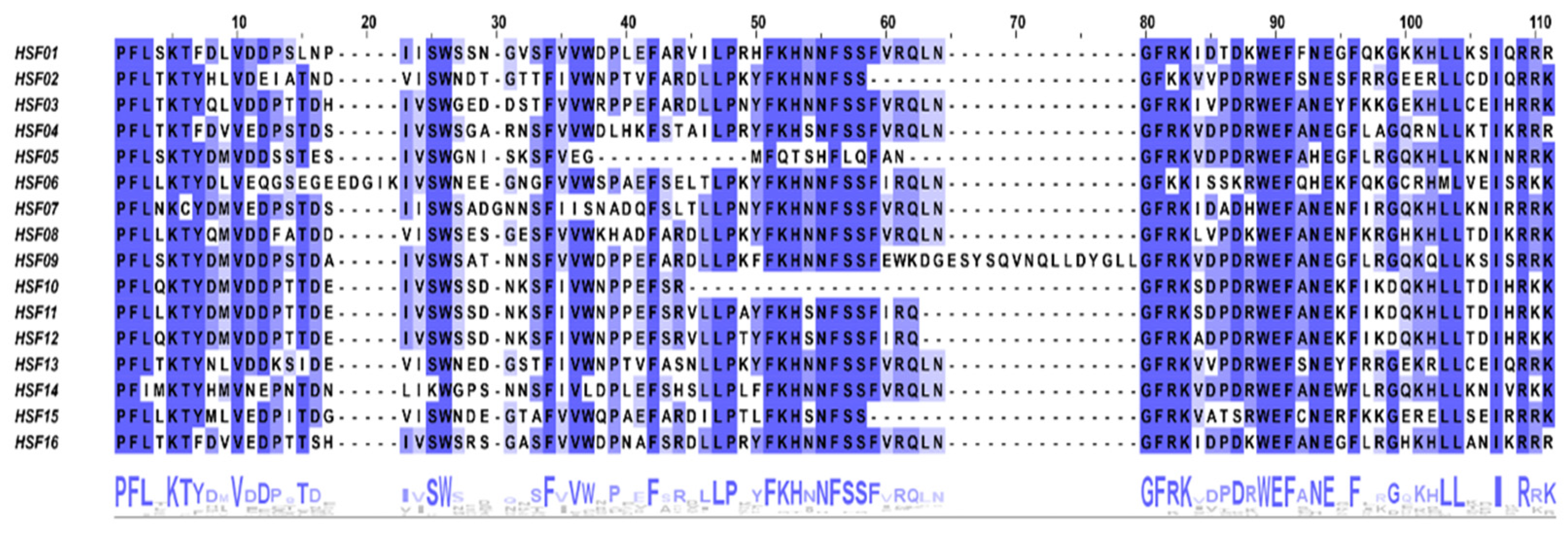 Plants 11 02763 g002