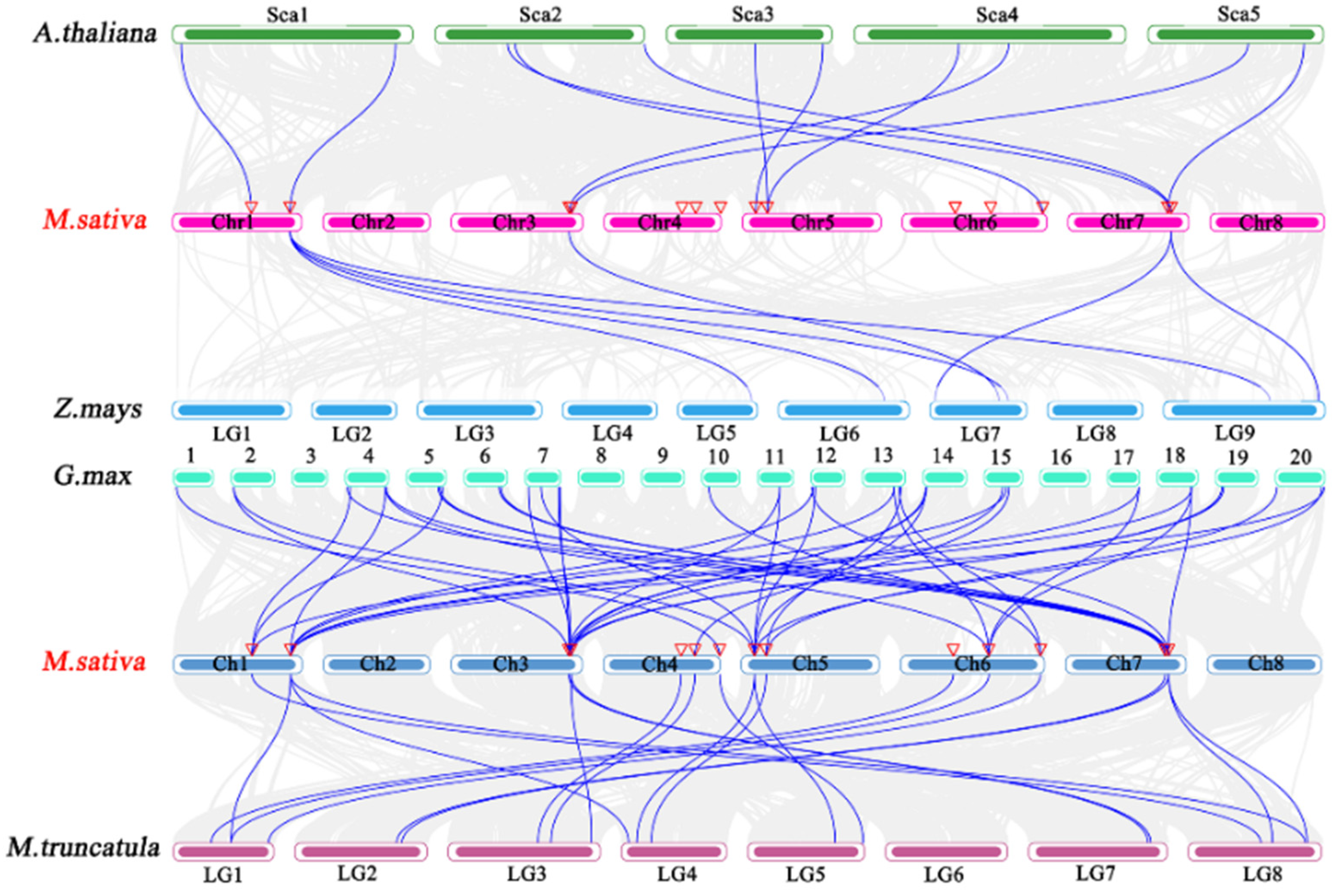 Plants 11 02763 g007