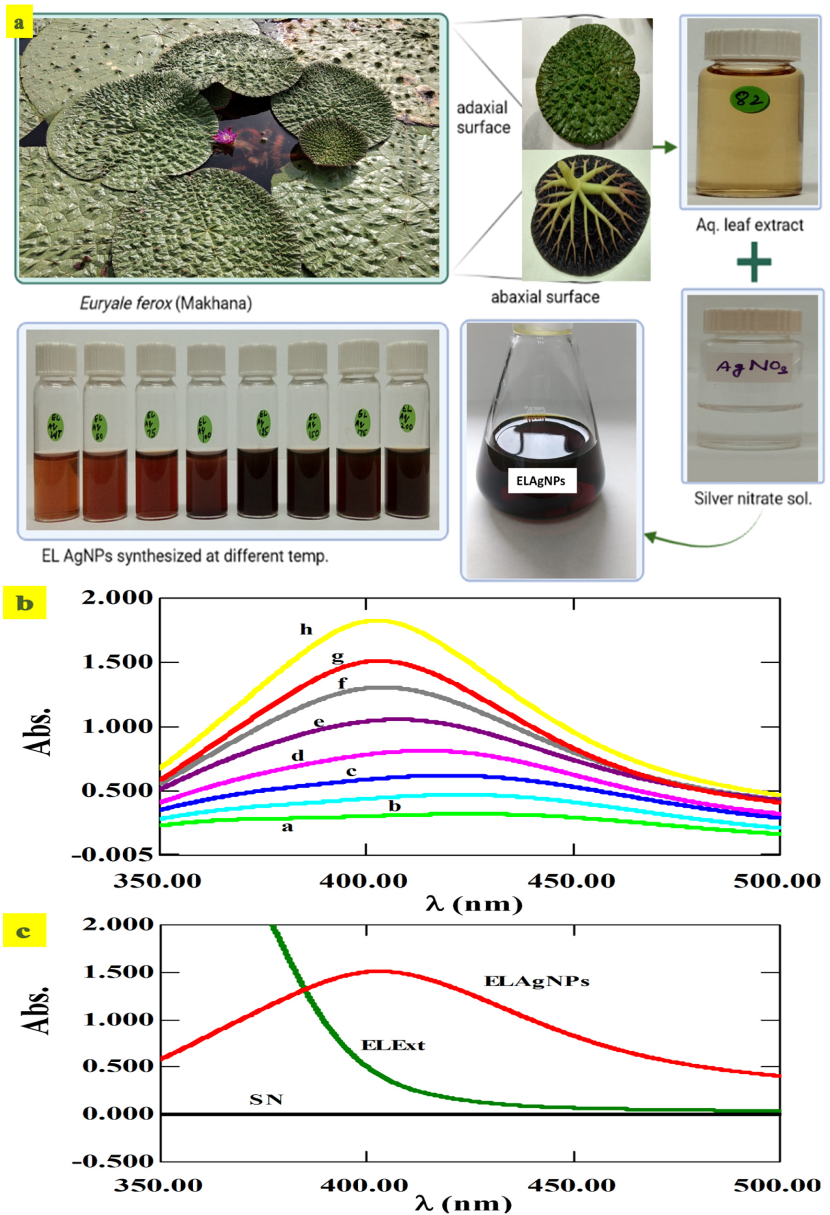 Plants 11 02766 g001 Plants 11 02766 g001