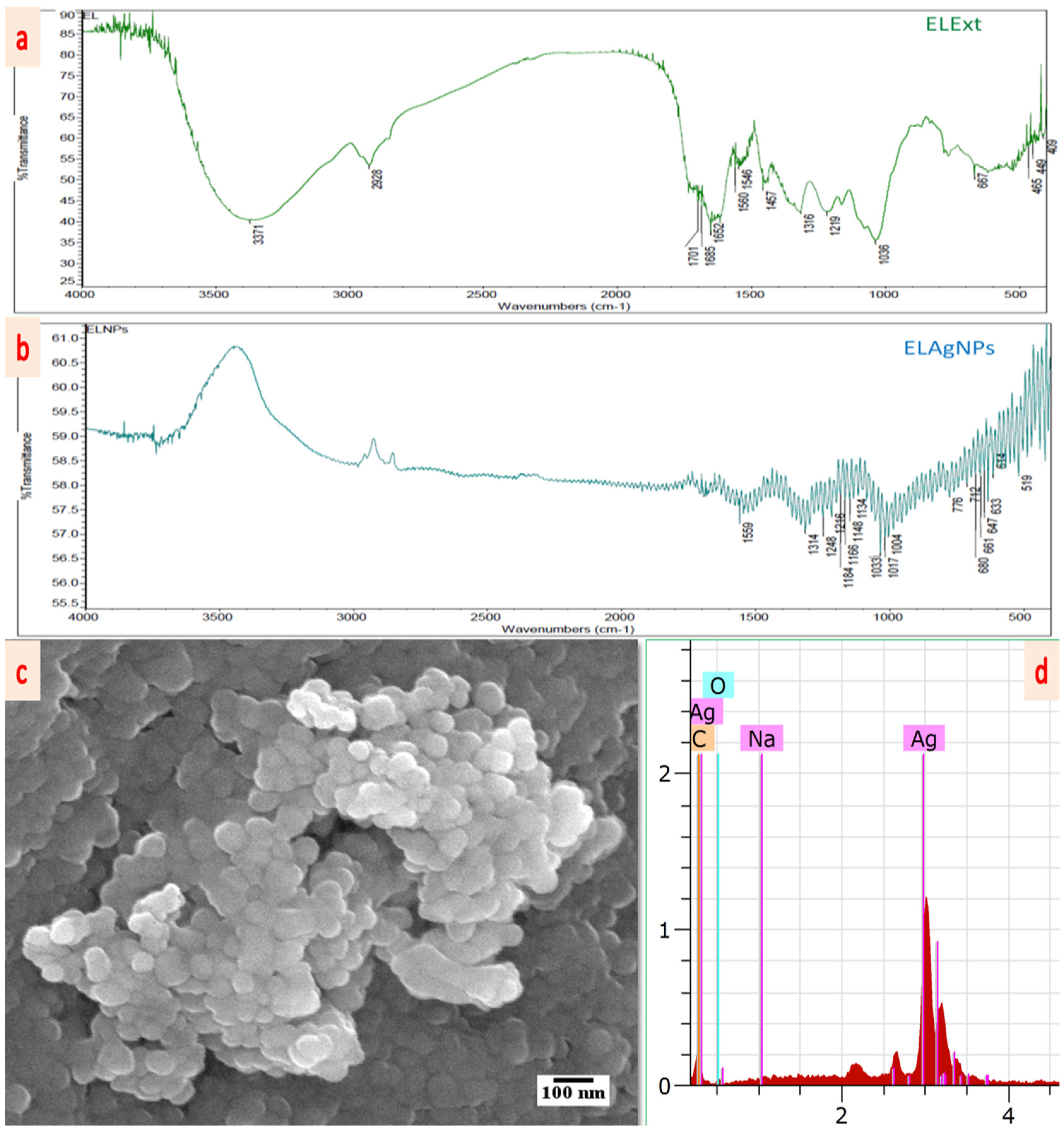 Plants 11 02766 g003 Plants 11 02766 g003