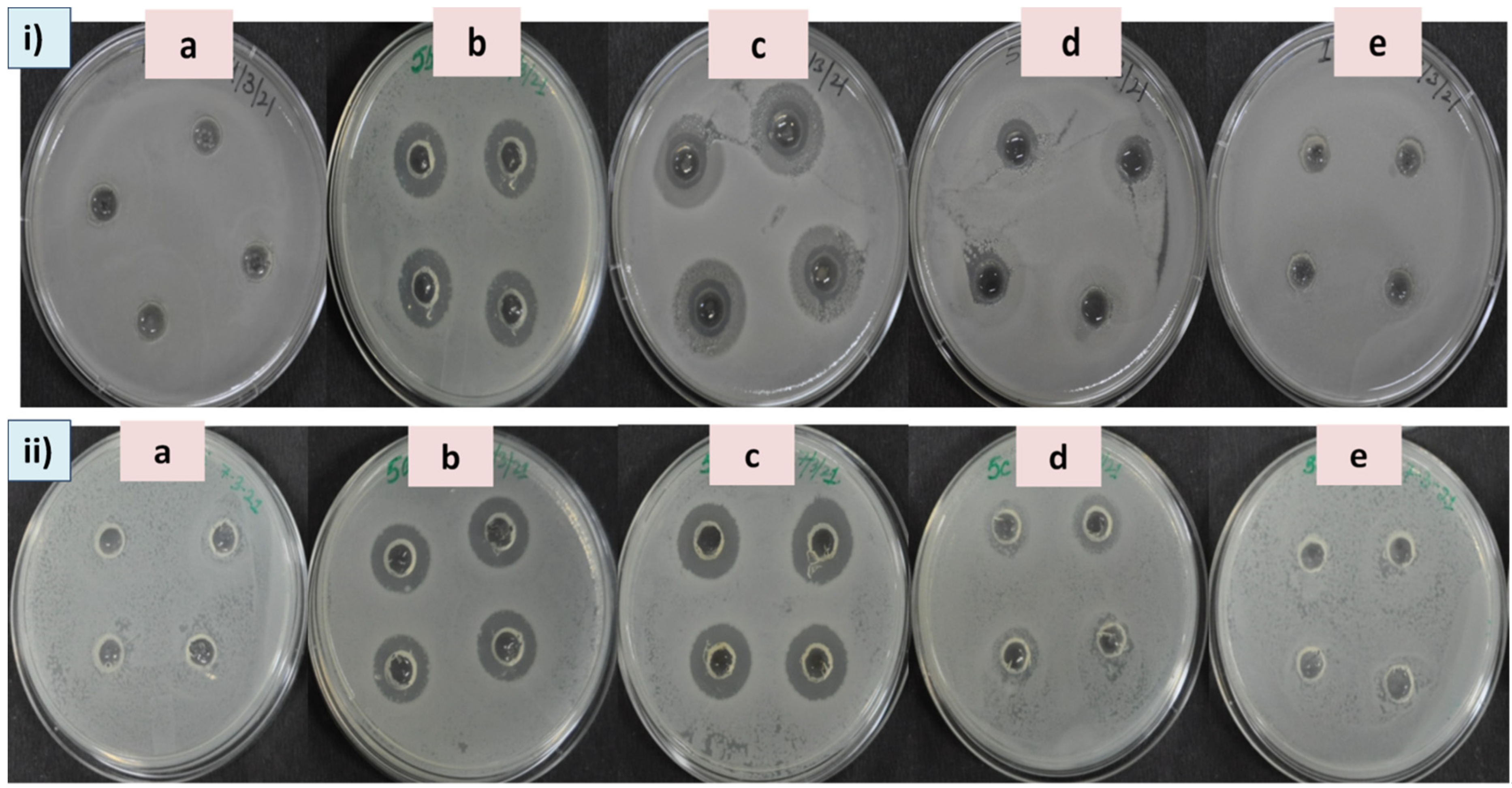 Plants 11 02766 g005 Plants 11 02766 g005