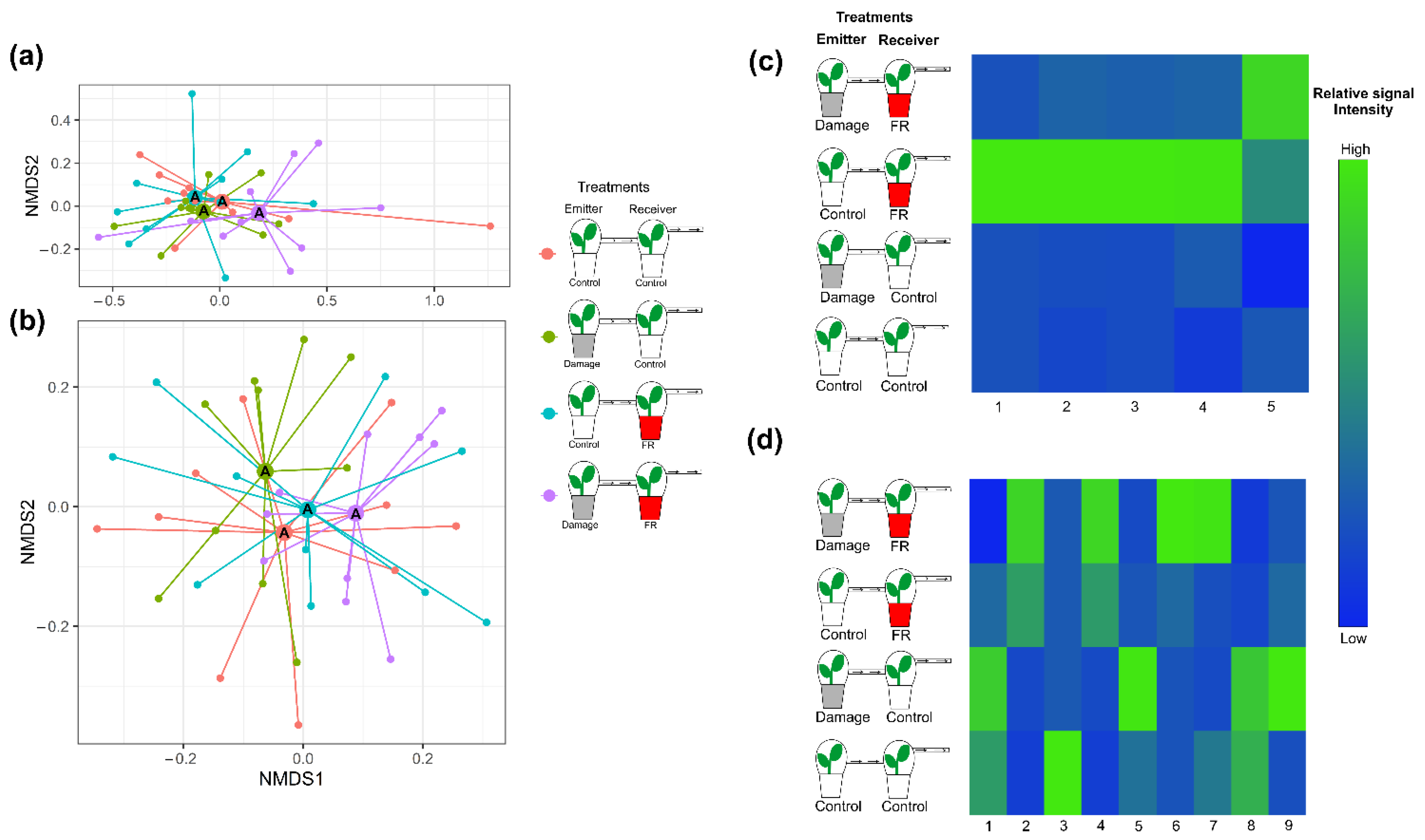 Plants 11 02768 g004