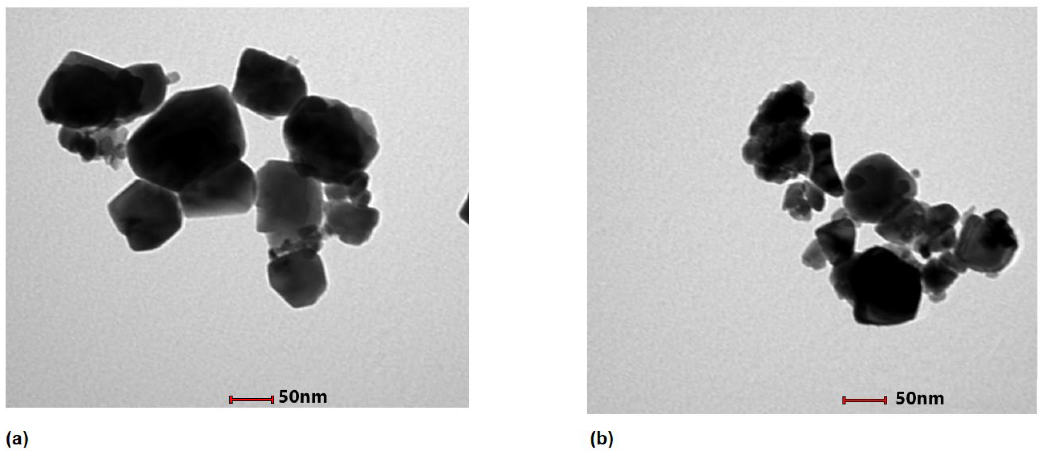 Plants 11 02776 g002