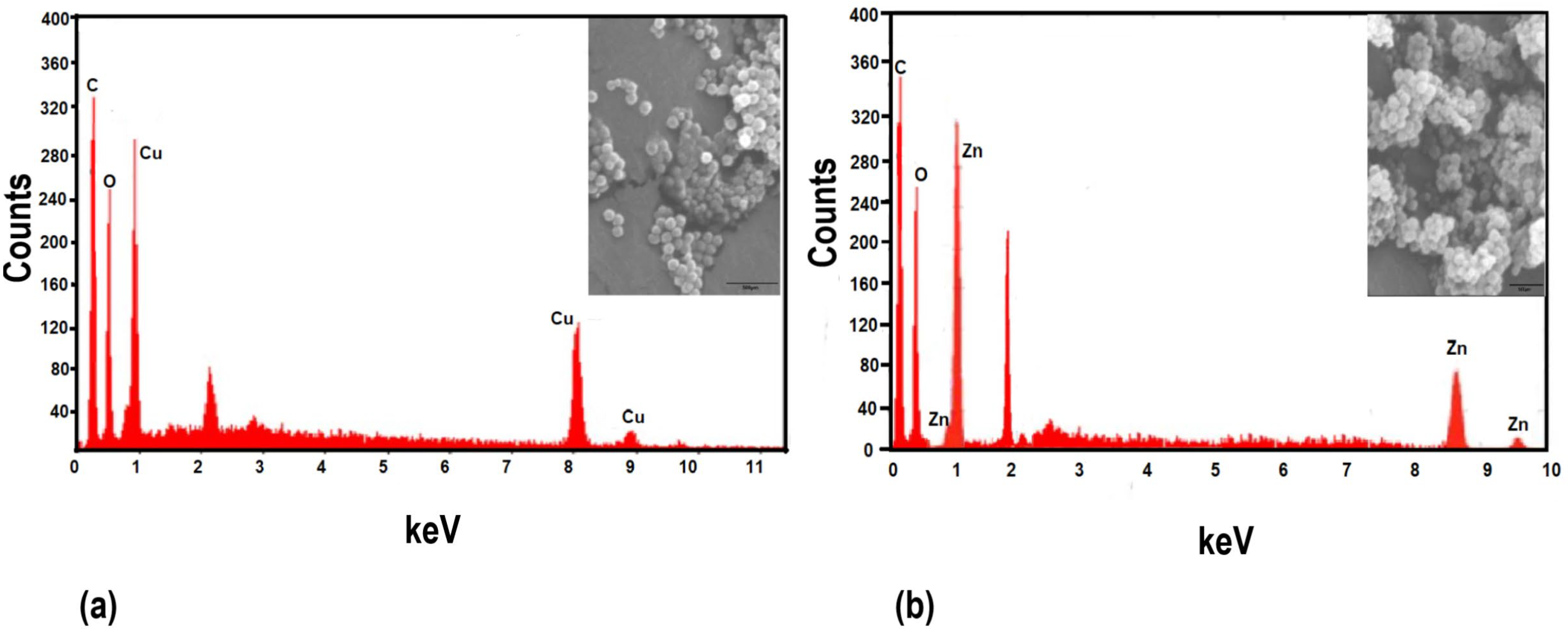 Plants 11 02776 g003