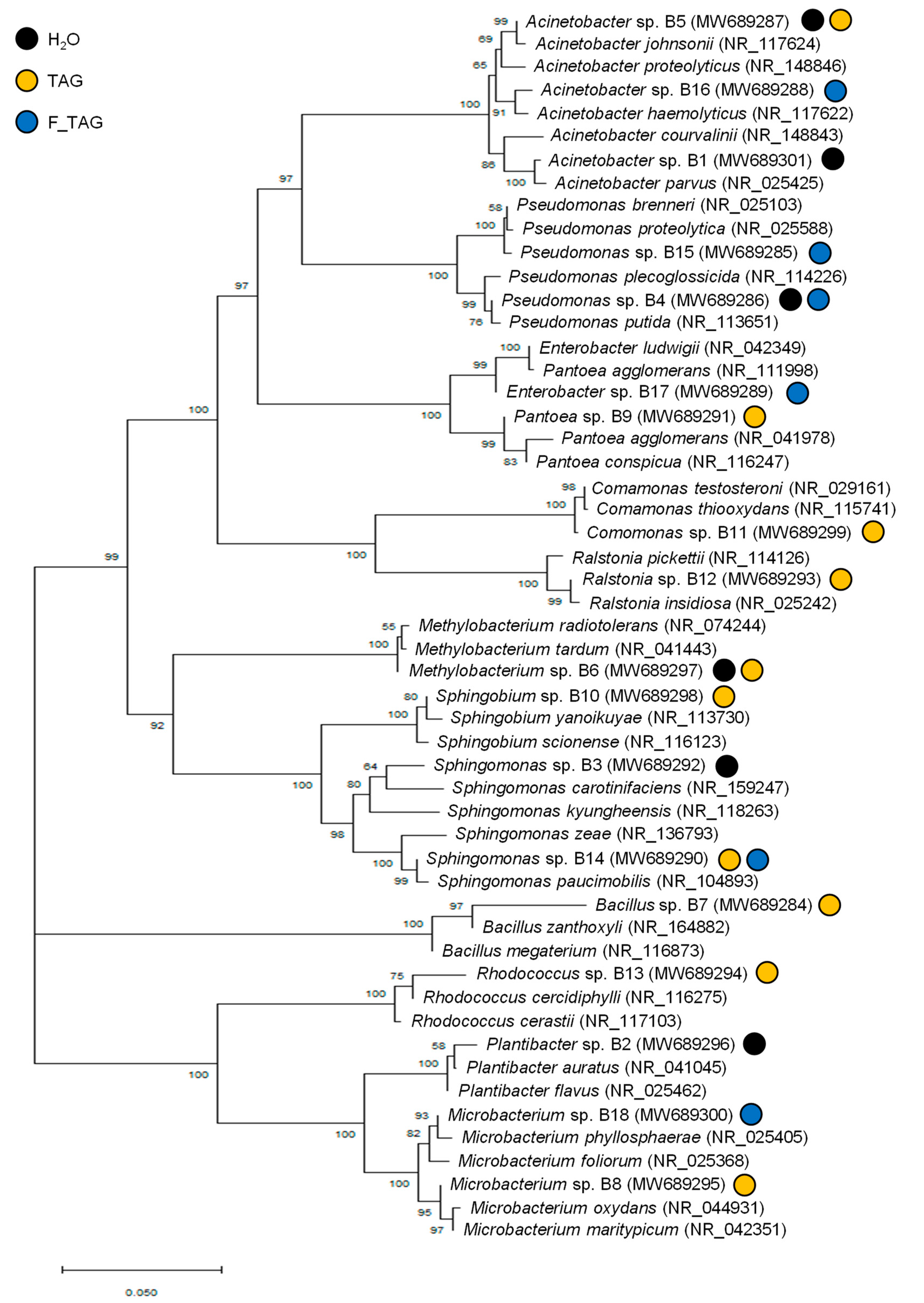 Plants 11 02781 g005 Plants 11 02781 g005