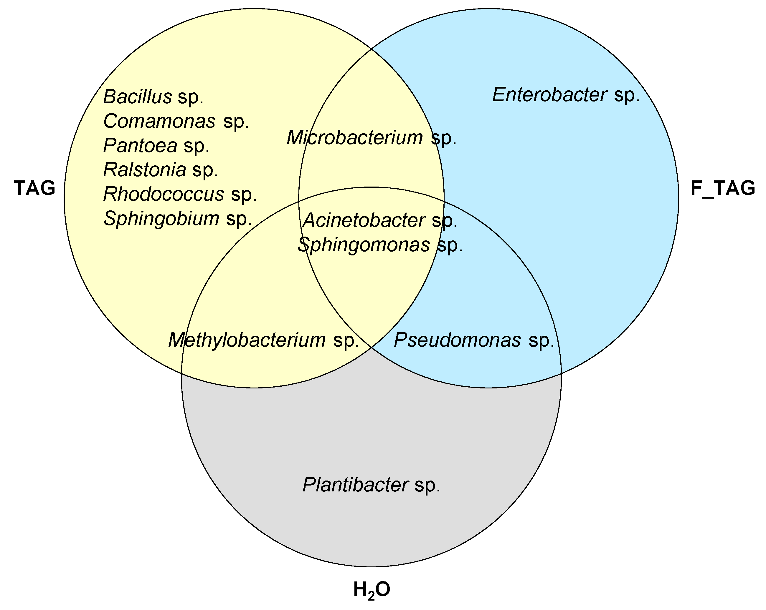 Plants 11 02781 g006 Plants 11 02781 g006