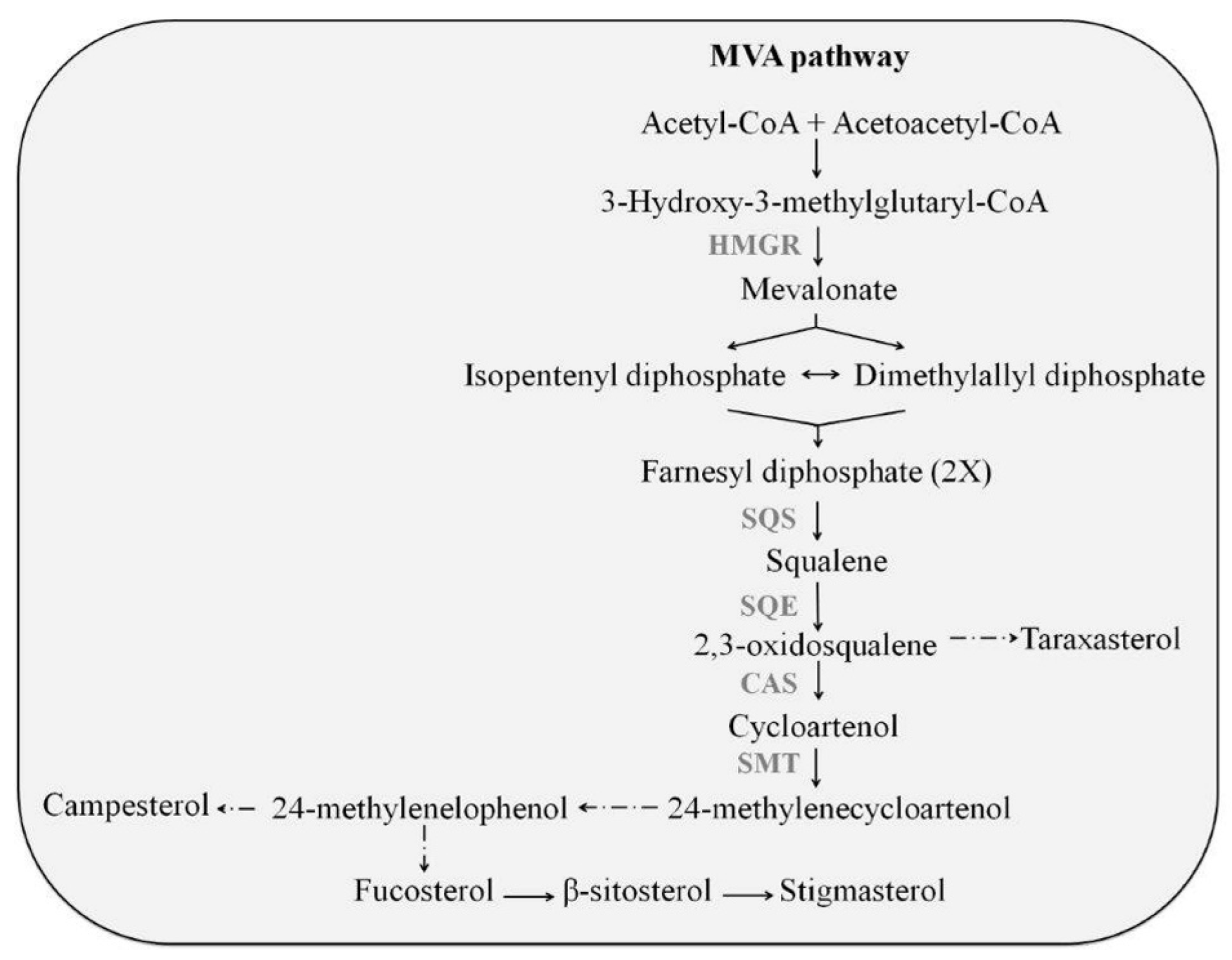 Plants 11 02782 g001