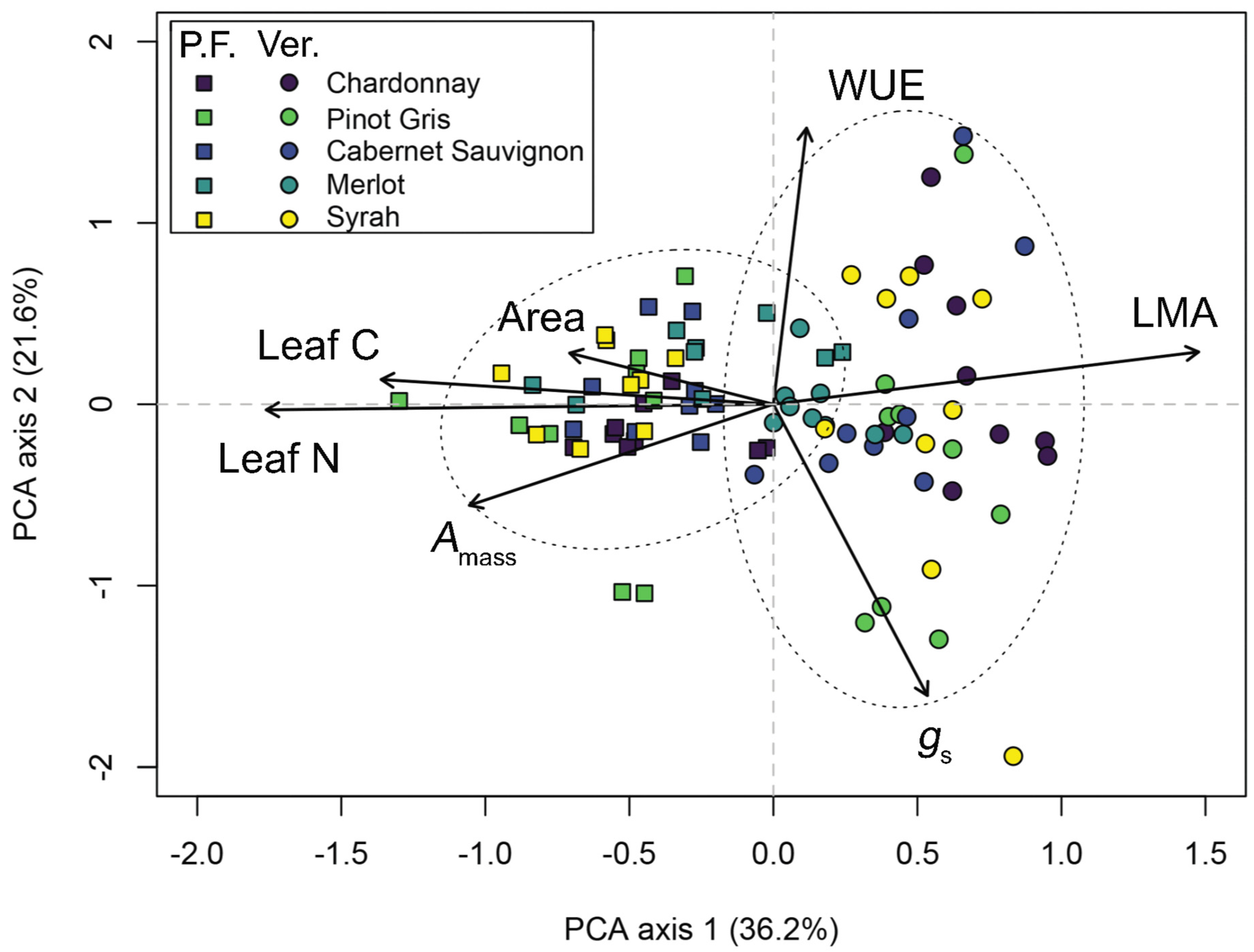 Plants 11 02792 g004 Plants 11 02792 g004