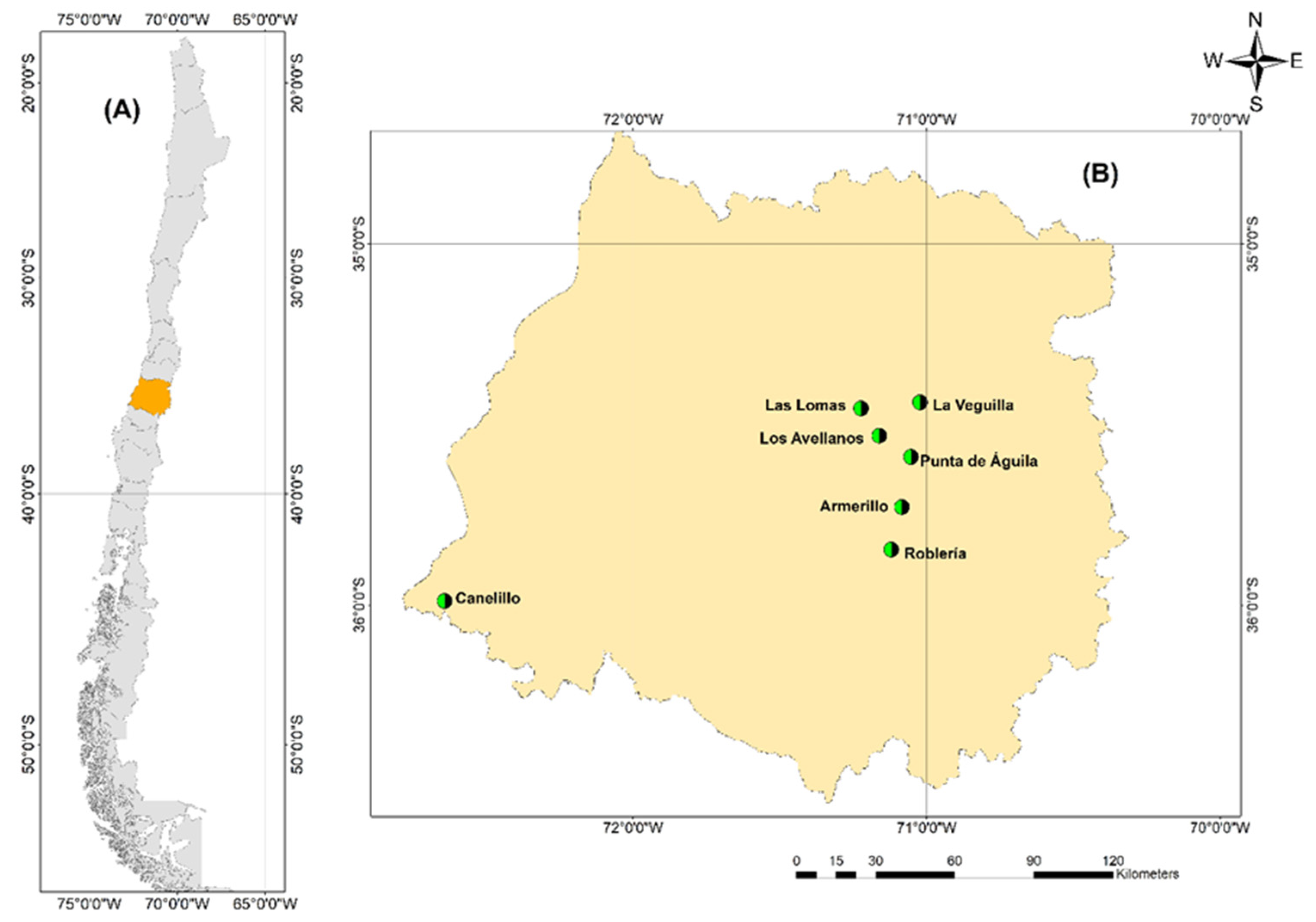 Plants 11 02803 g002 Plants 11 02803 g002