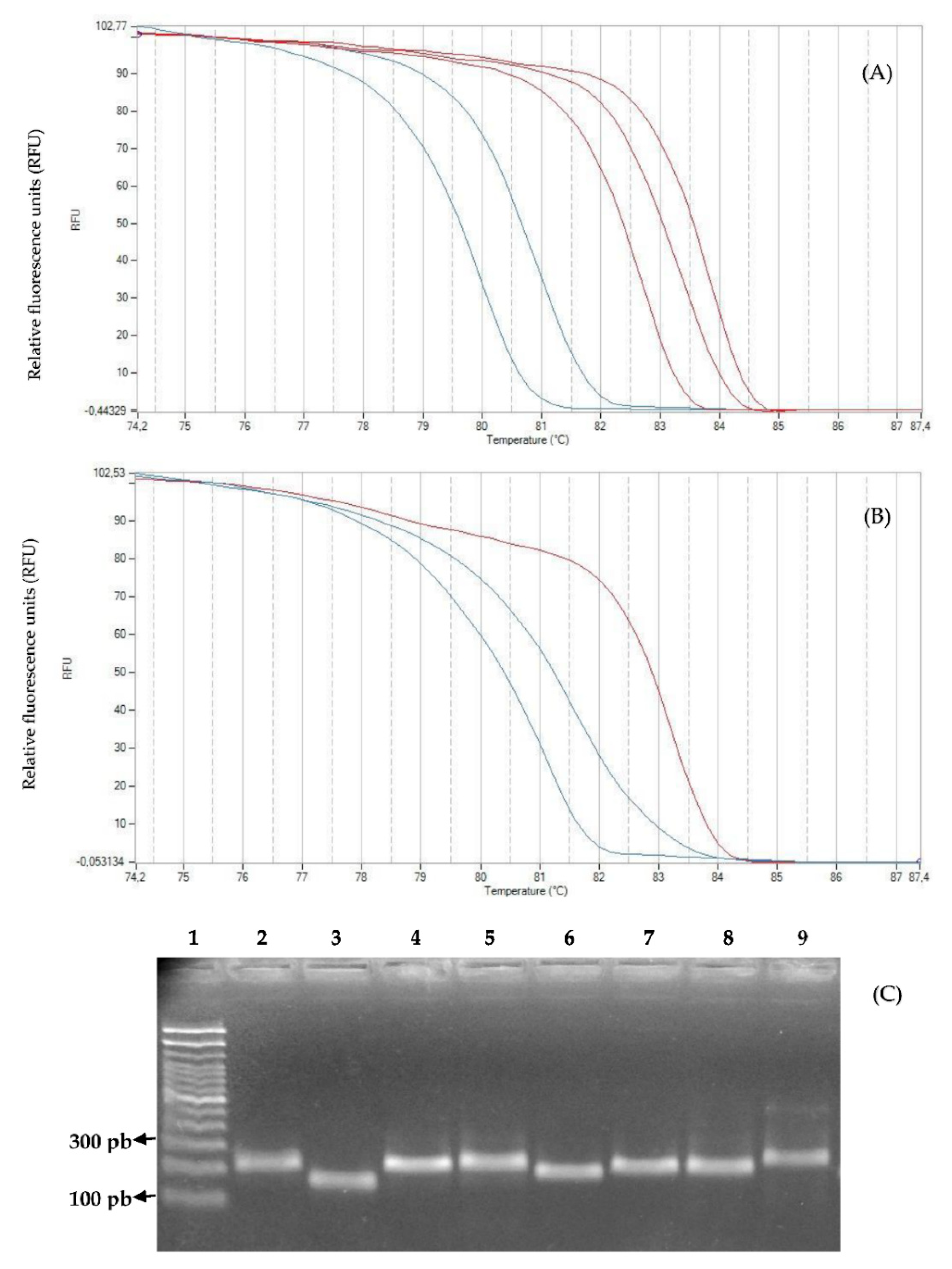 Plants 11 02803 g006 Plants 11 02803 g006